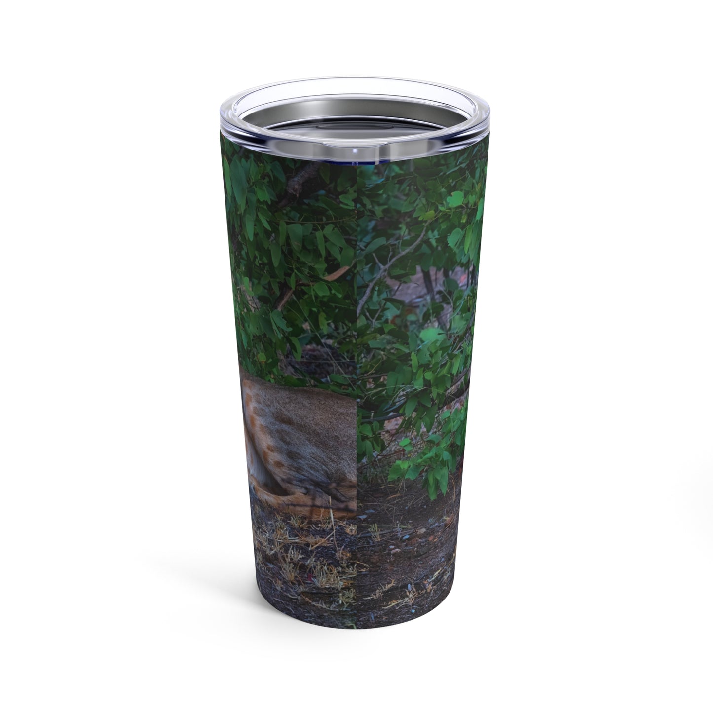 Enjoy Nature Dreaming About a Lioness 20 oz Travel Tumbler