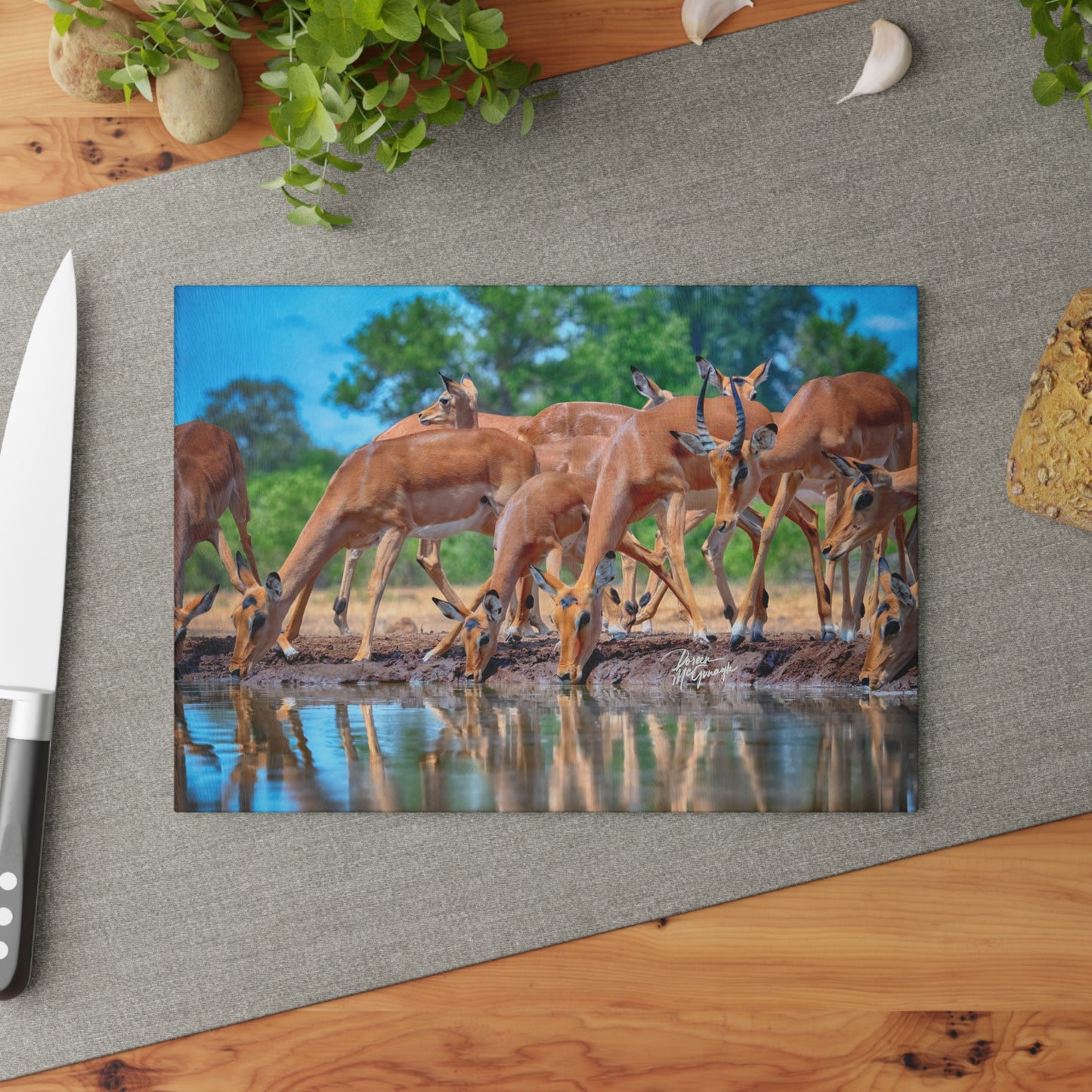 Enjoy Nature Glass Charcuterie Cutting Board with African Antelope at Watering Hole Design