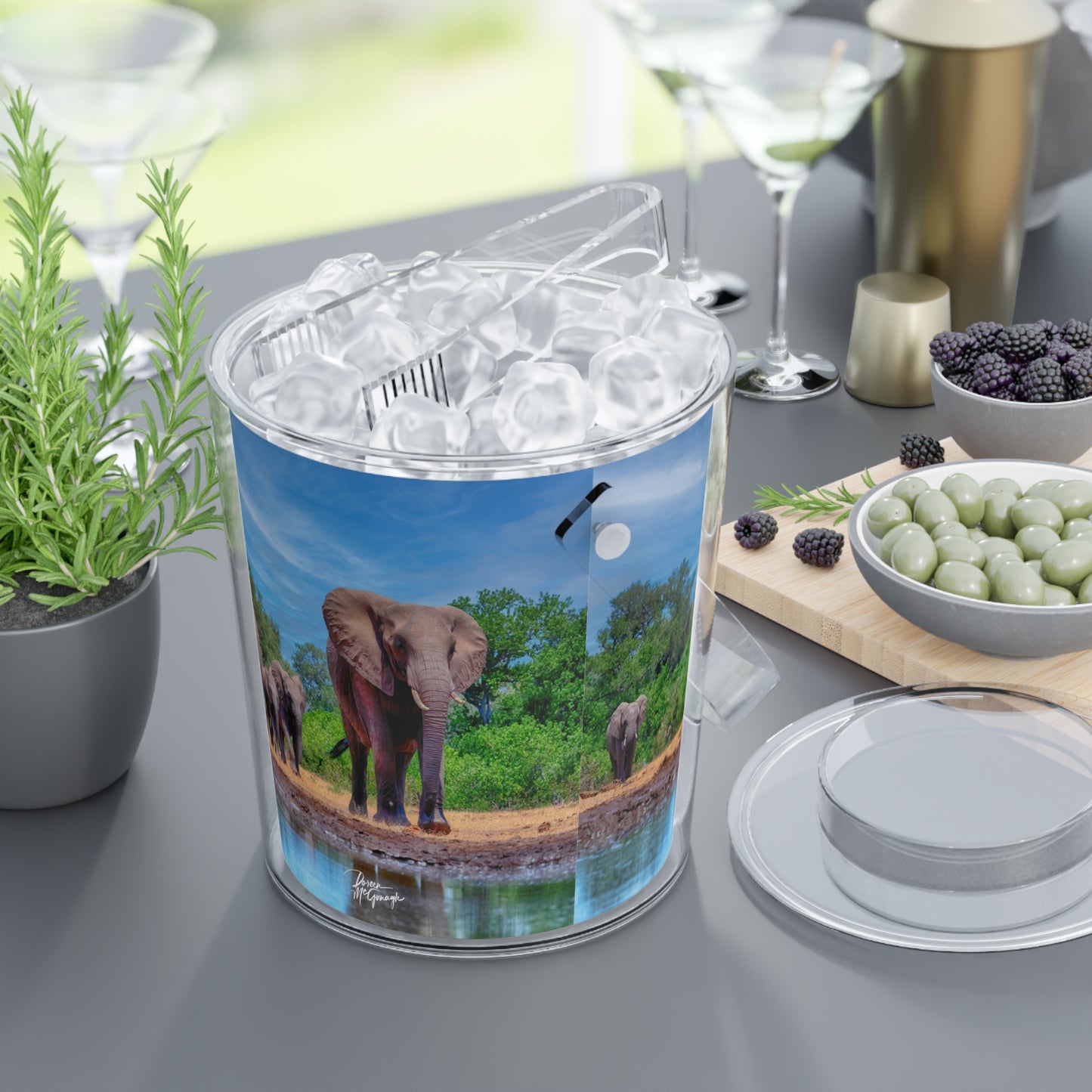 Enjoy Nature Elephant Family at Watering Hole Insulated Ice Bucket