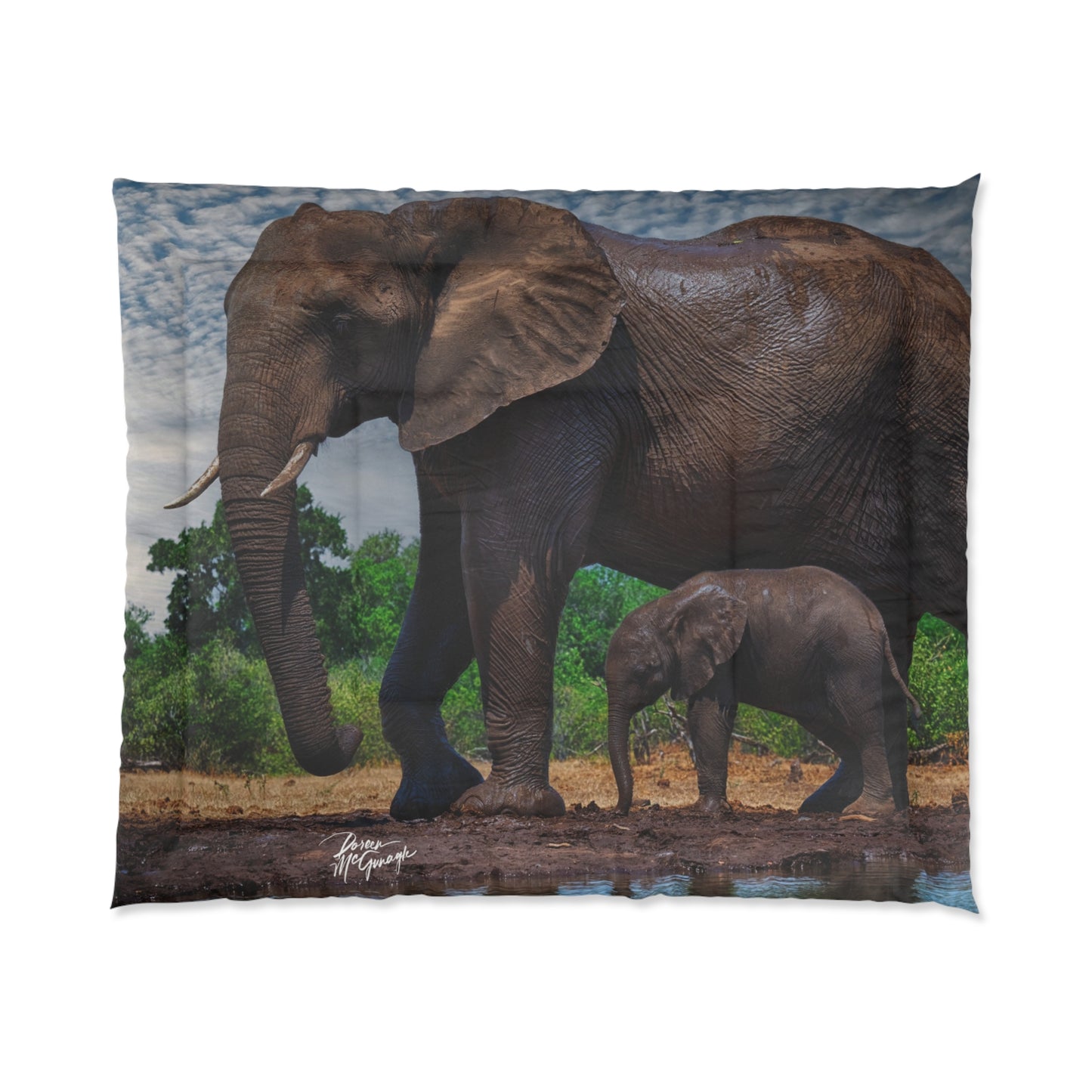 Elephant Baby with Mom Comforter by Enjoy Nature