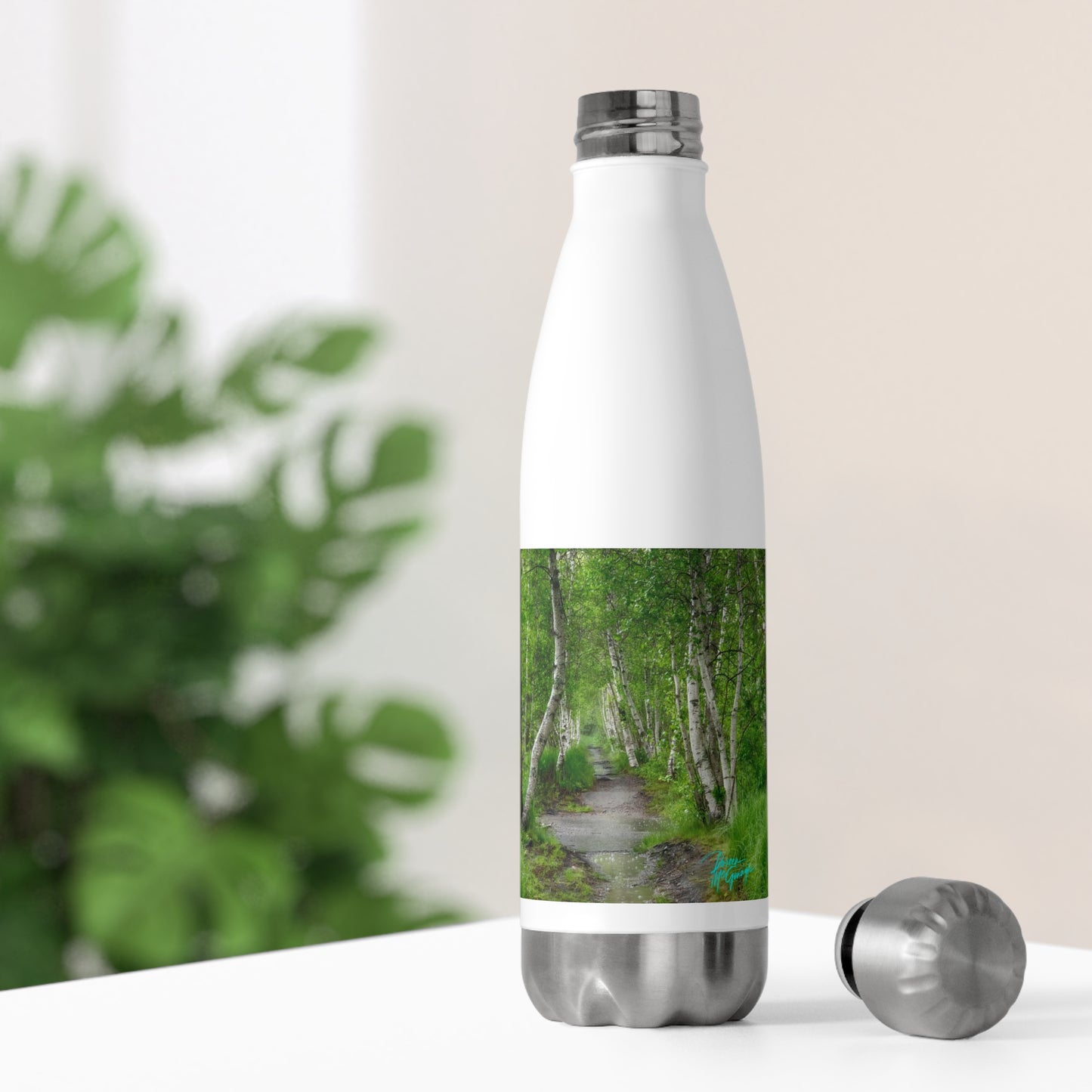 Eco friendly water bottle, Silver Birch Path, 20oz Insulated Bottle