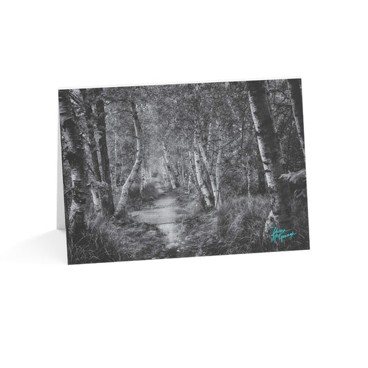 Forest Note Cards, Note Cards 5x7, Nature Note Cards, Note Card Pack, photo note cards, Silver Birch Forest Path in Black and White