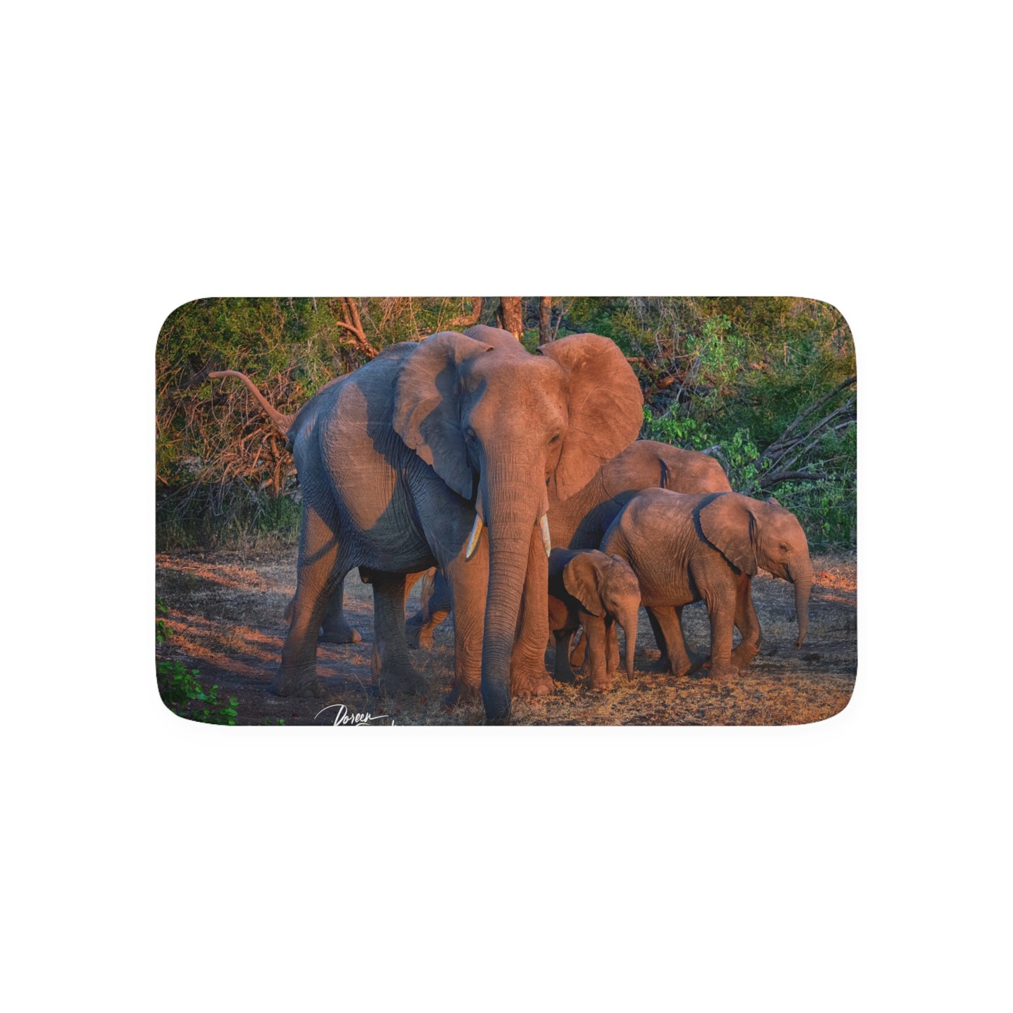 Enjoy Nature Elephant Family Memory Foam Bath Mat