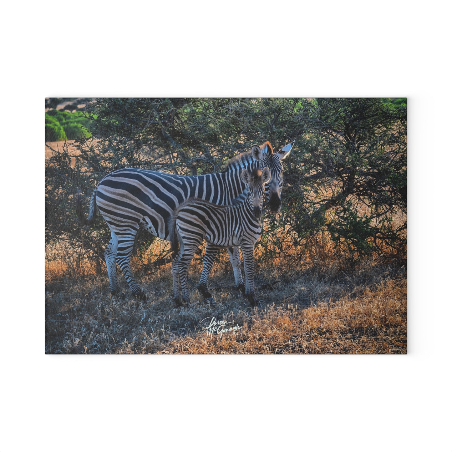 Enjoy Nature Glass Charcuterie Cutting Board with Zebra Stripes Design