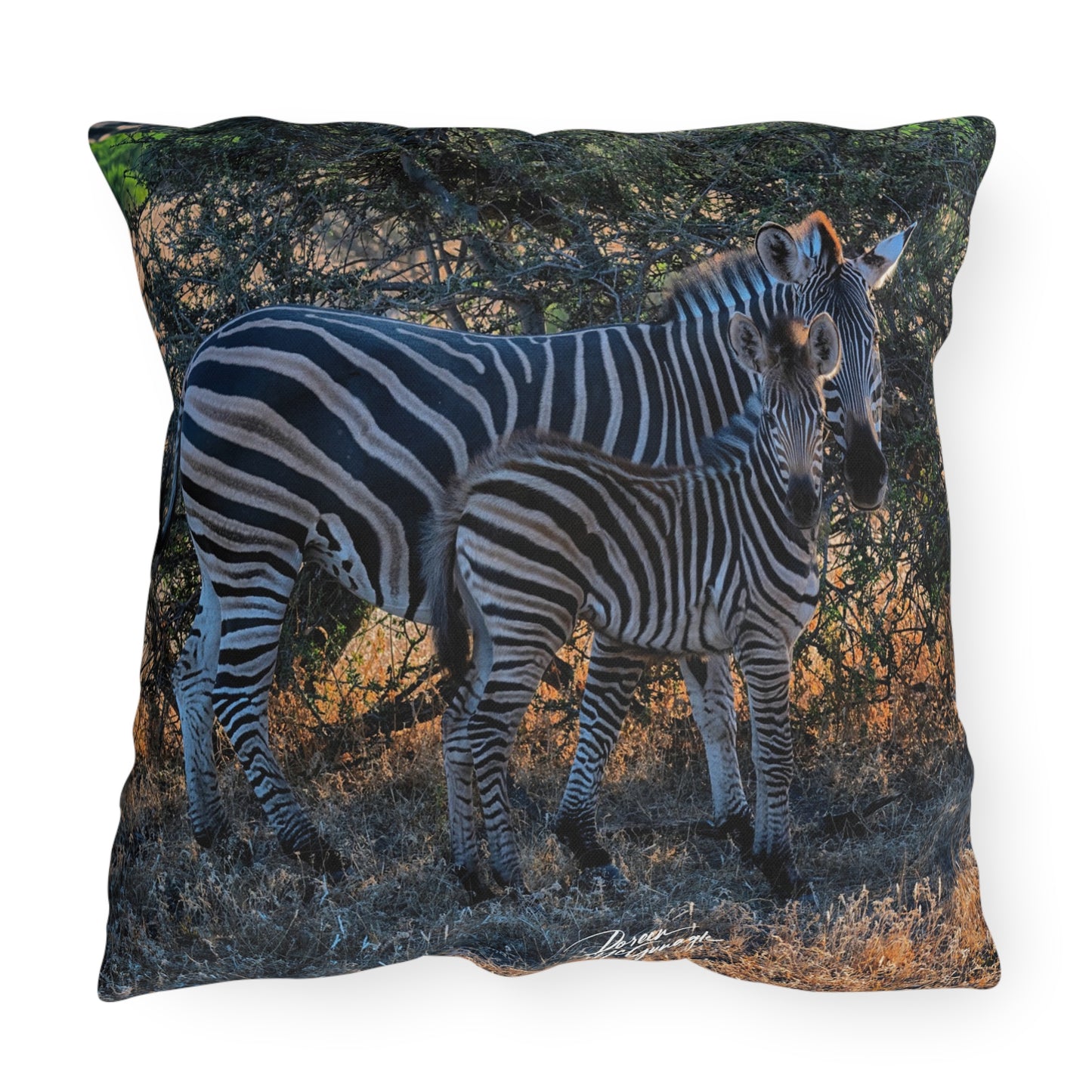 Enjoy Nature Outdoor Pillow with Zebra Stripes – Artistic, Comfy, and Durable Decorative Accent