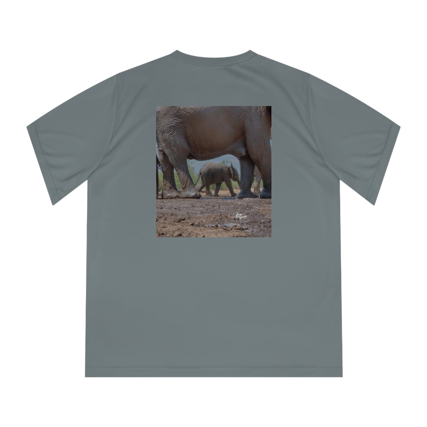 Women's Performance V-Neck T-Shirt - Elephant Baby Under Watchful Eye of Mom by Enjoy Nature