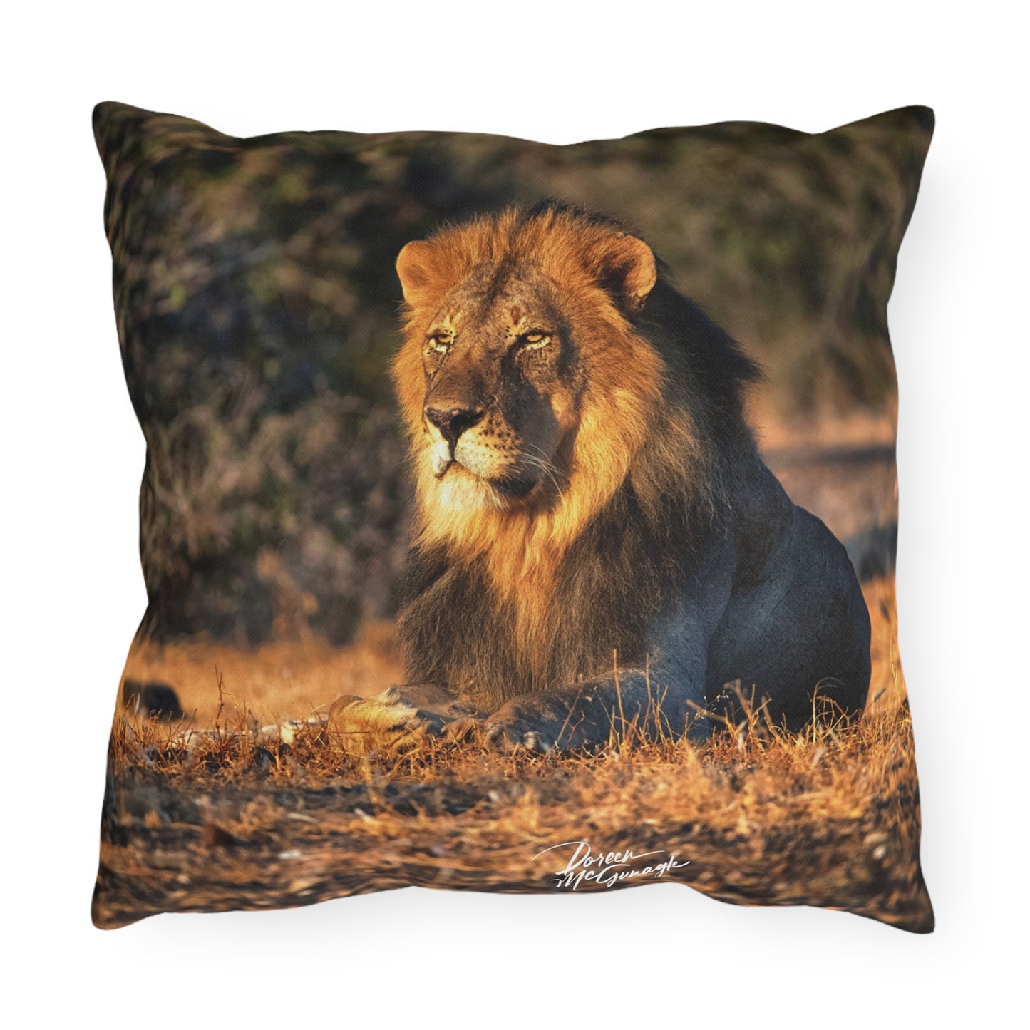 Enjoy Nature Outdoor Pillow with Lion King of Jungle – Artistic, Comfy, and Durable Decorative Accent