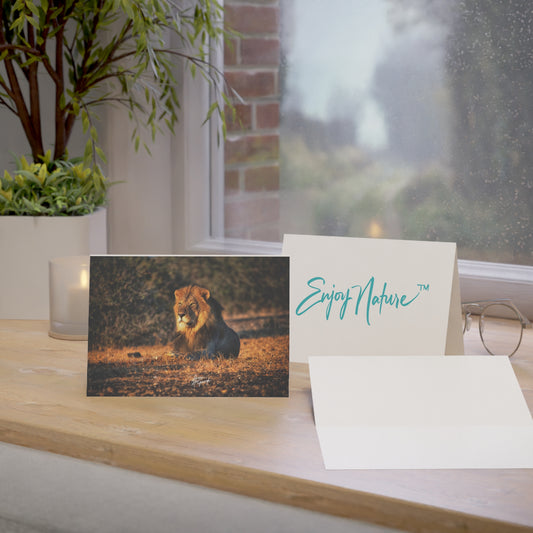 5x7 Note Card Box of 10: Lion on the Savanna in Botswana Africa