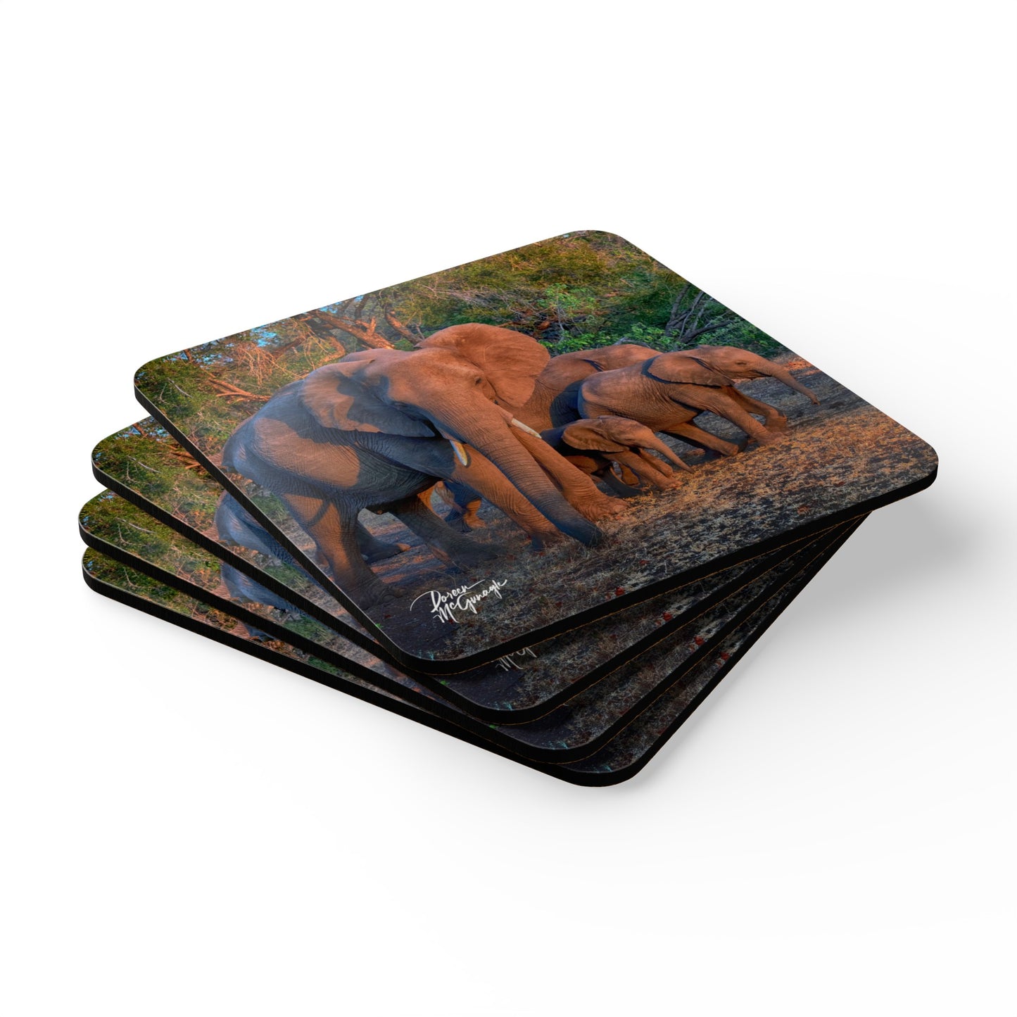 Spirited Elephant Family Corkwood Coaster Set (Box of 4)