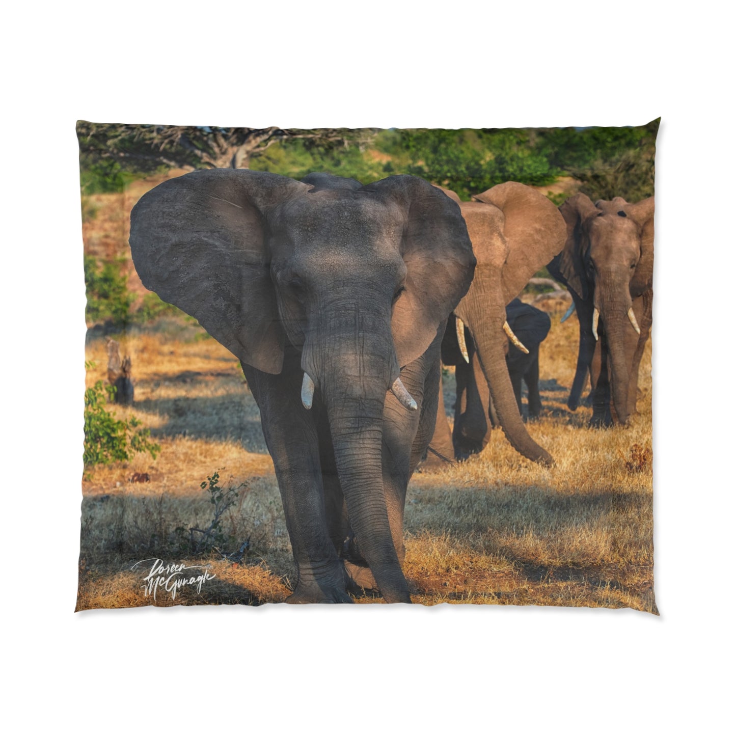 Elephant Family Walking Comforter by Enjoy Nature