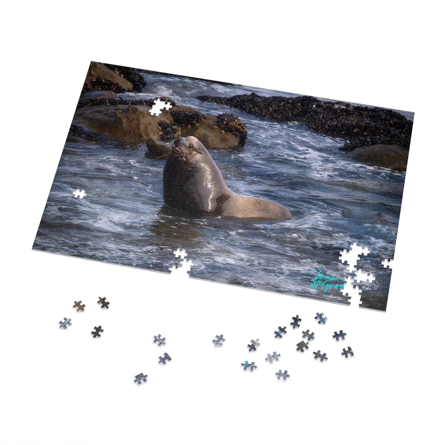 Nature puzzles Young Sea Virtuoso, inspired by nature