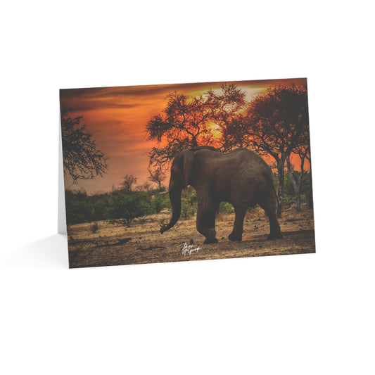 5x7 note cards of Elephant Sunset (10 pcs)