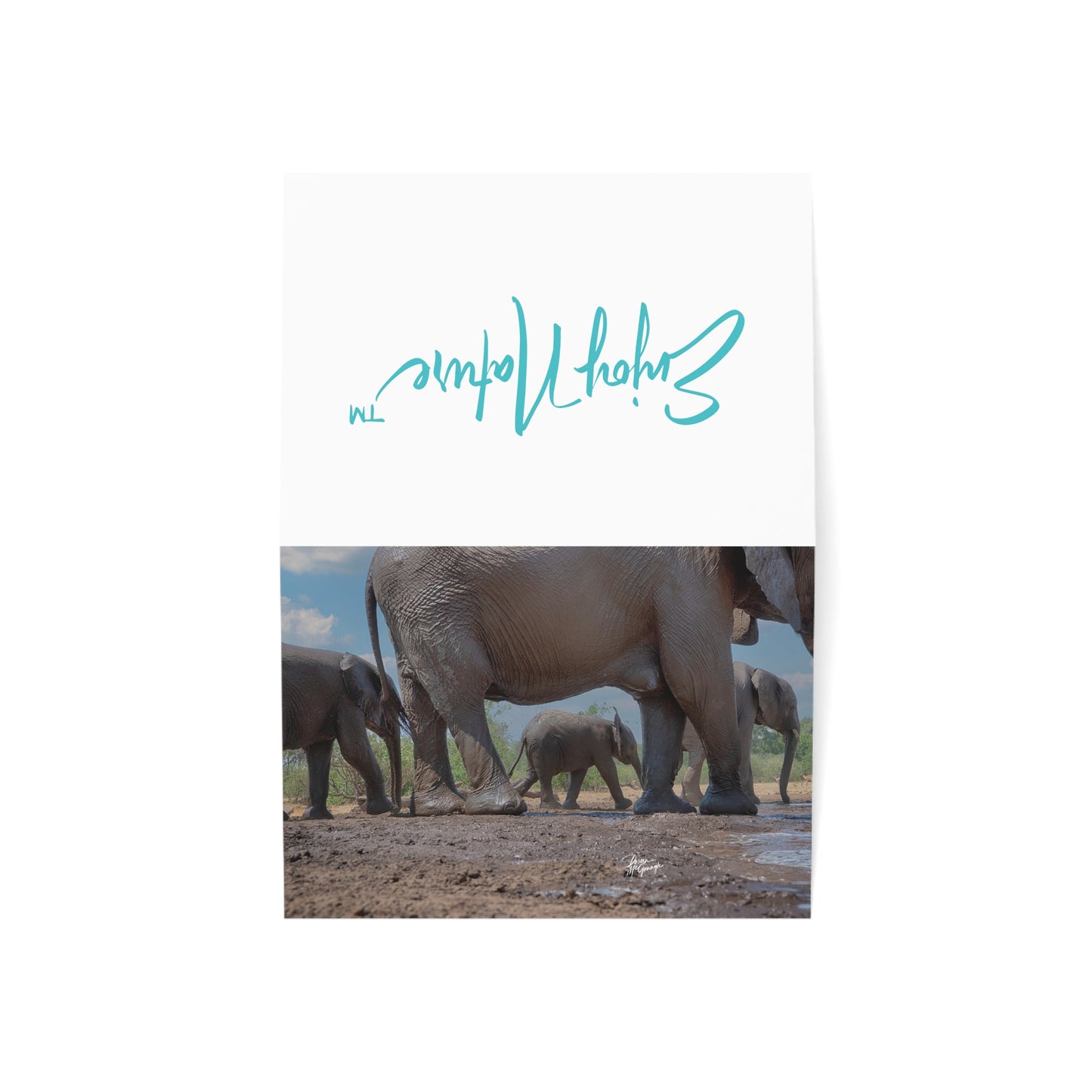 5x7 note cards of Baby Elephant with Mom (10 pcs)