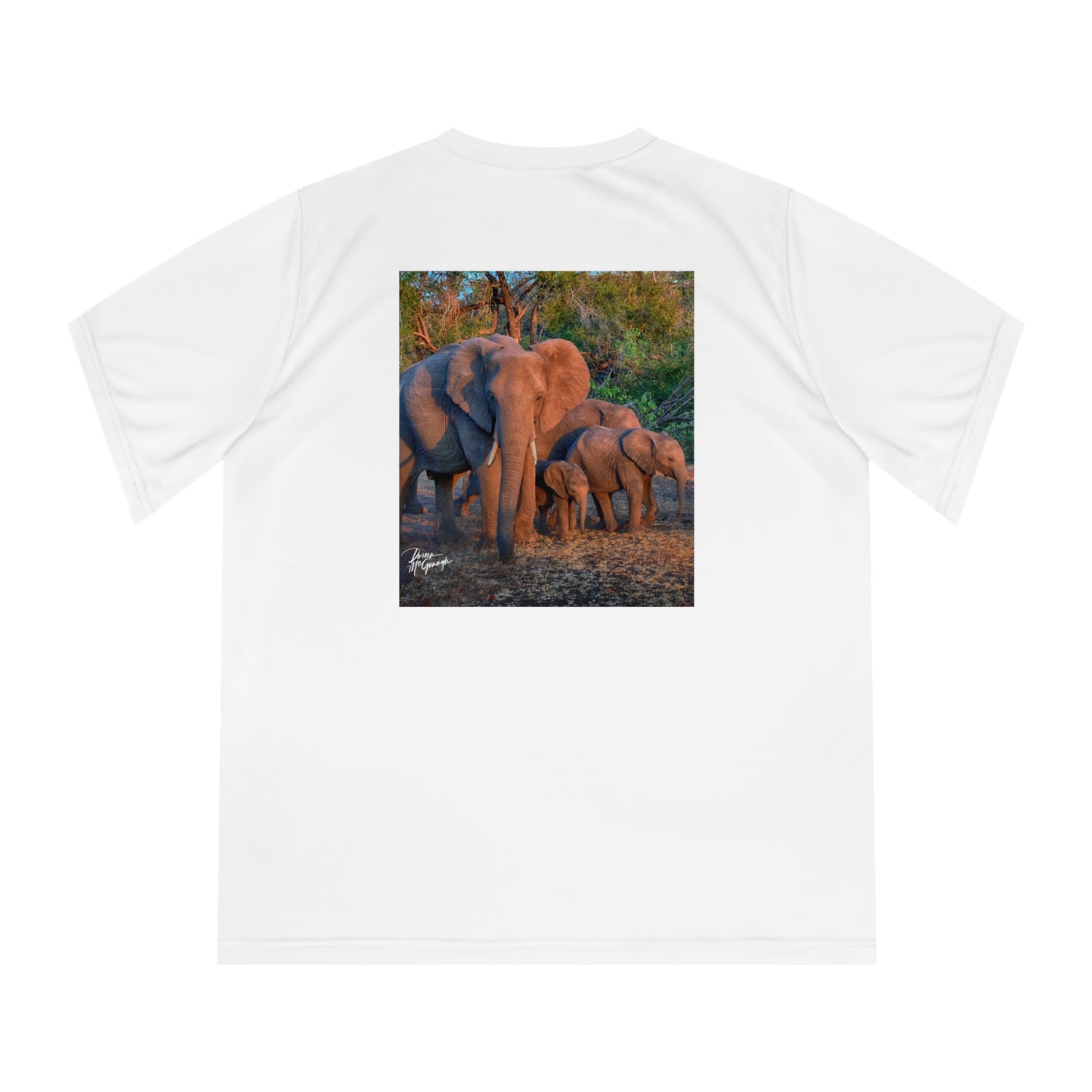 Women's Performance V-Neck T-Shirt - Elephant Family Walking by Enjoy Nature