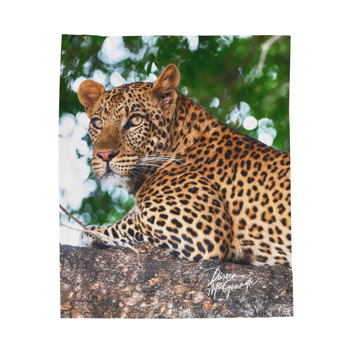 Velveteen Plush Blanket with Leopard in Tree by Enjoy Nature