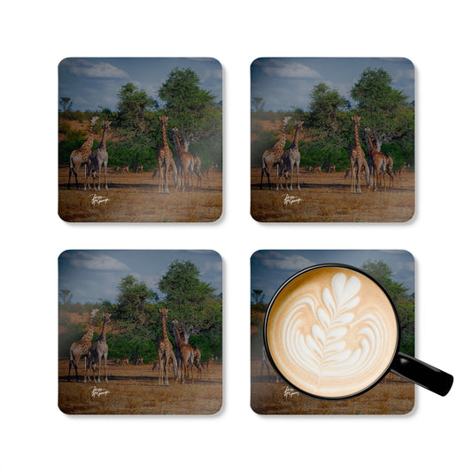 Giraffe Family Corkwood Coaster Set (Box of 4)