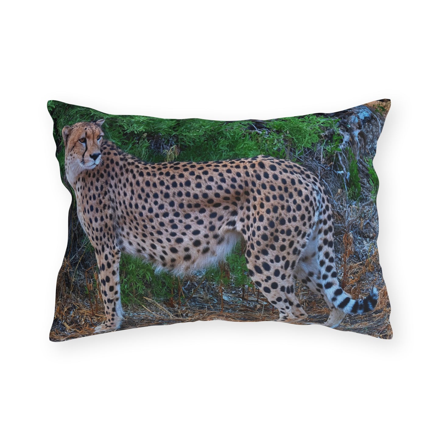 Enjoy Nature Outdoor Pillow with Cheetah Stand – Artistic, Comfy, and Durable Decorative Accent