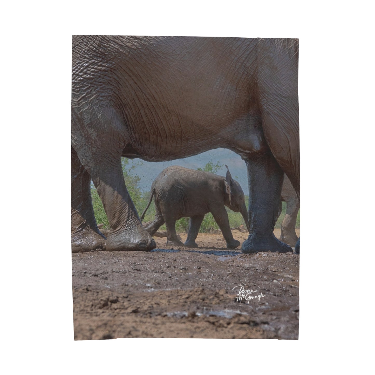 Velveteen Plush Blanket with Mother Watching Over Elephant Baby by Enjoy Nature