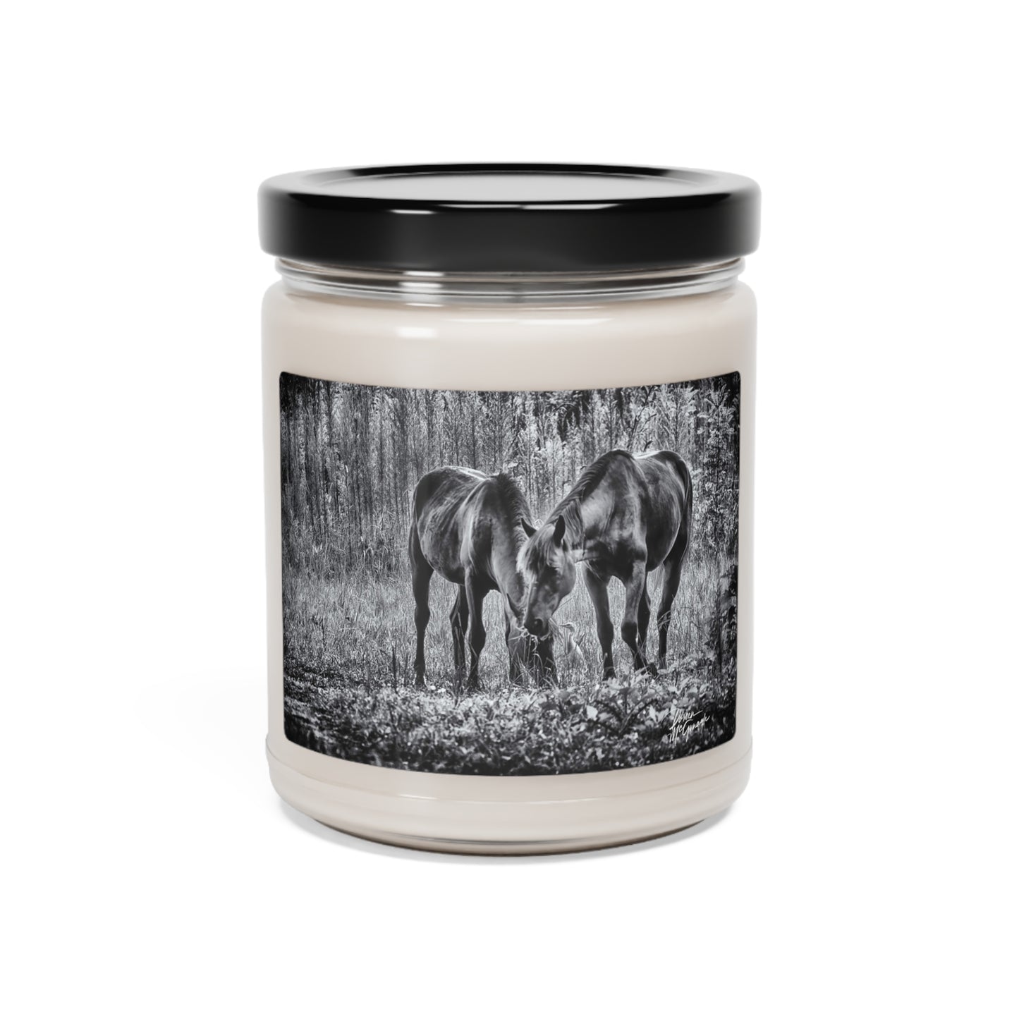 Wildlife Candle Design, Simple Nature Candle, Best Aroma Candle, Non toxic candles, nature candles -  Wild Horses in Black and White