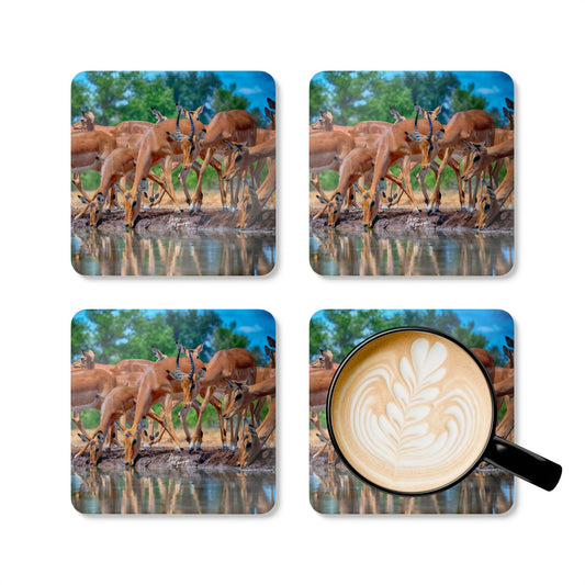 Impalas at Water Hole Corkwood Coaster Set (Box of 4)