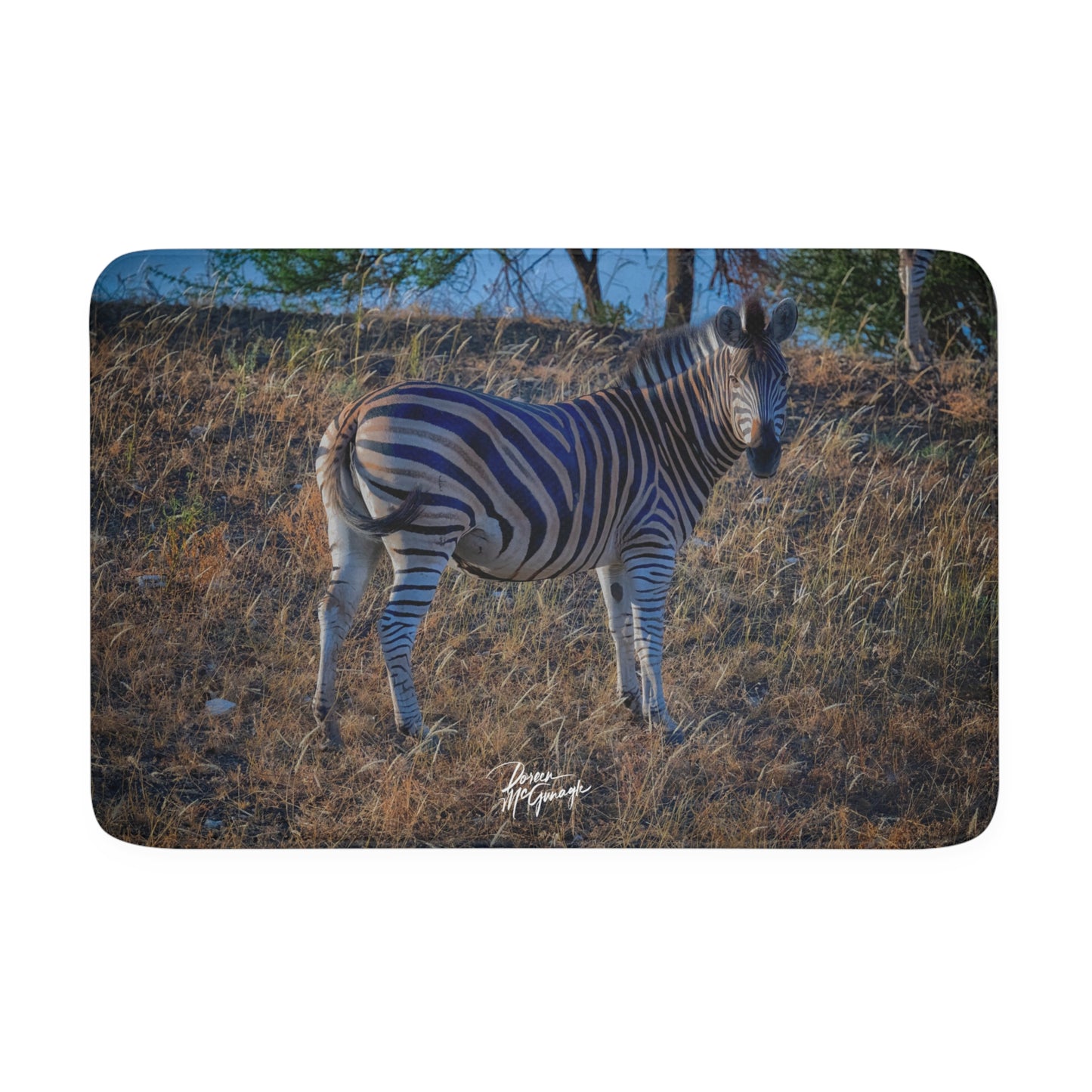 Baby Zebra Memory Foam Bath Mat from Enjoy Nature