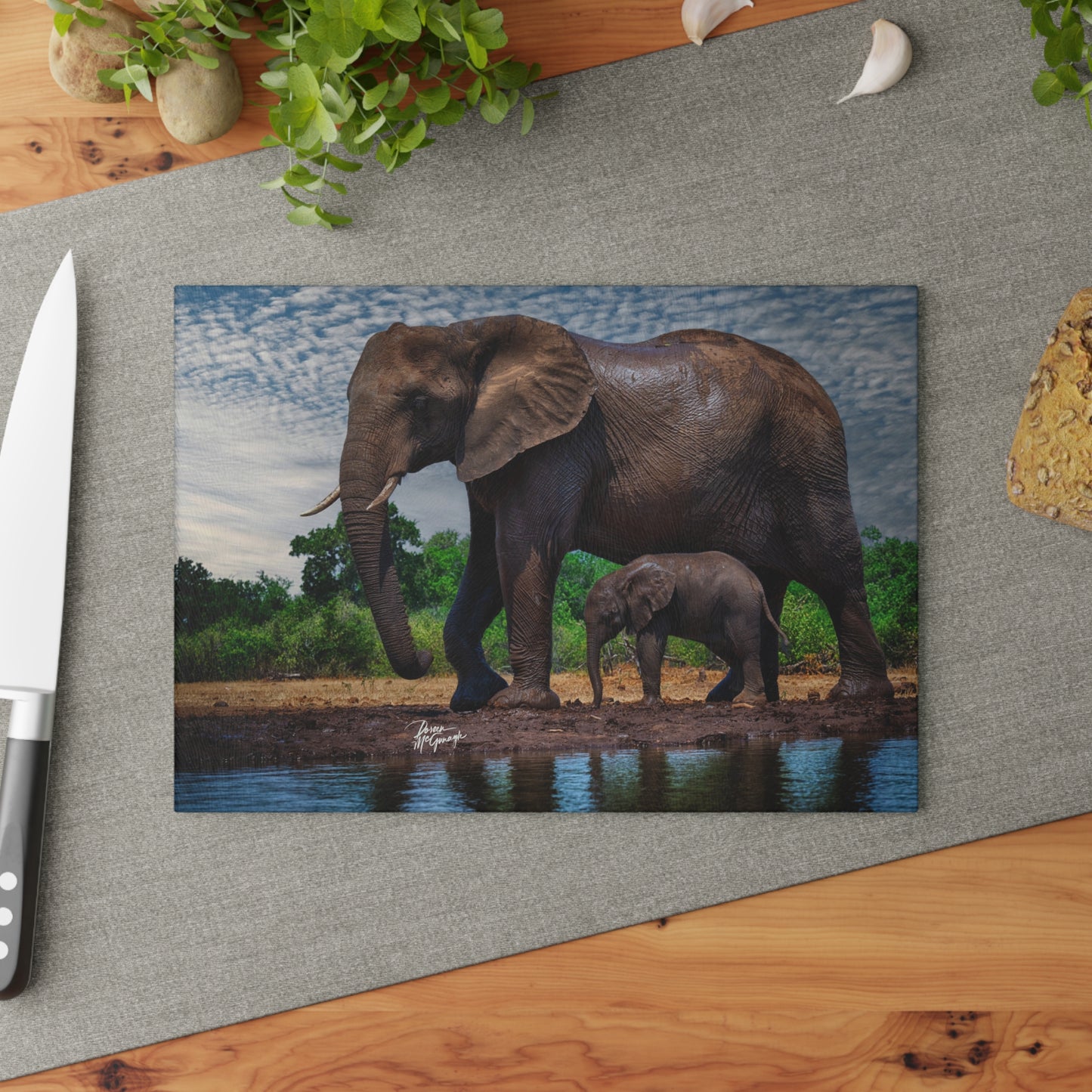 Enjoy Nature Glass Charcuterie Cutting Board with Elephant Baby Walking with Mom Design