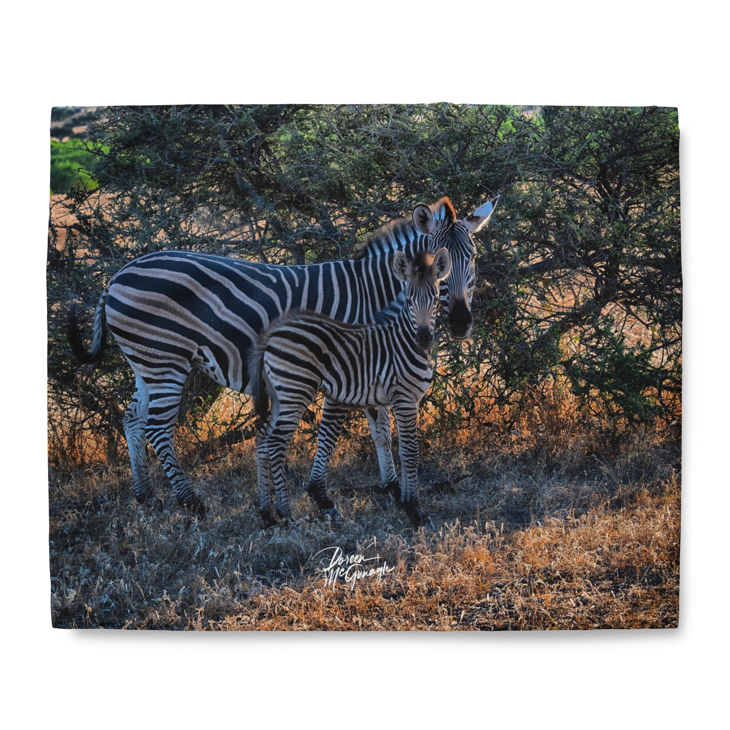 Enjoy Nature Zebra Stripes Duvet Cover