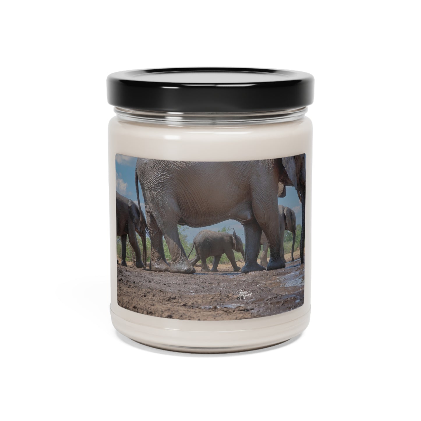 Experience the Pure Essence of Nature with the Elephant Baby Walking Scented Soy Candle by Enjoy Nature