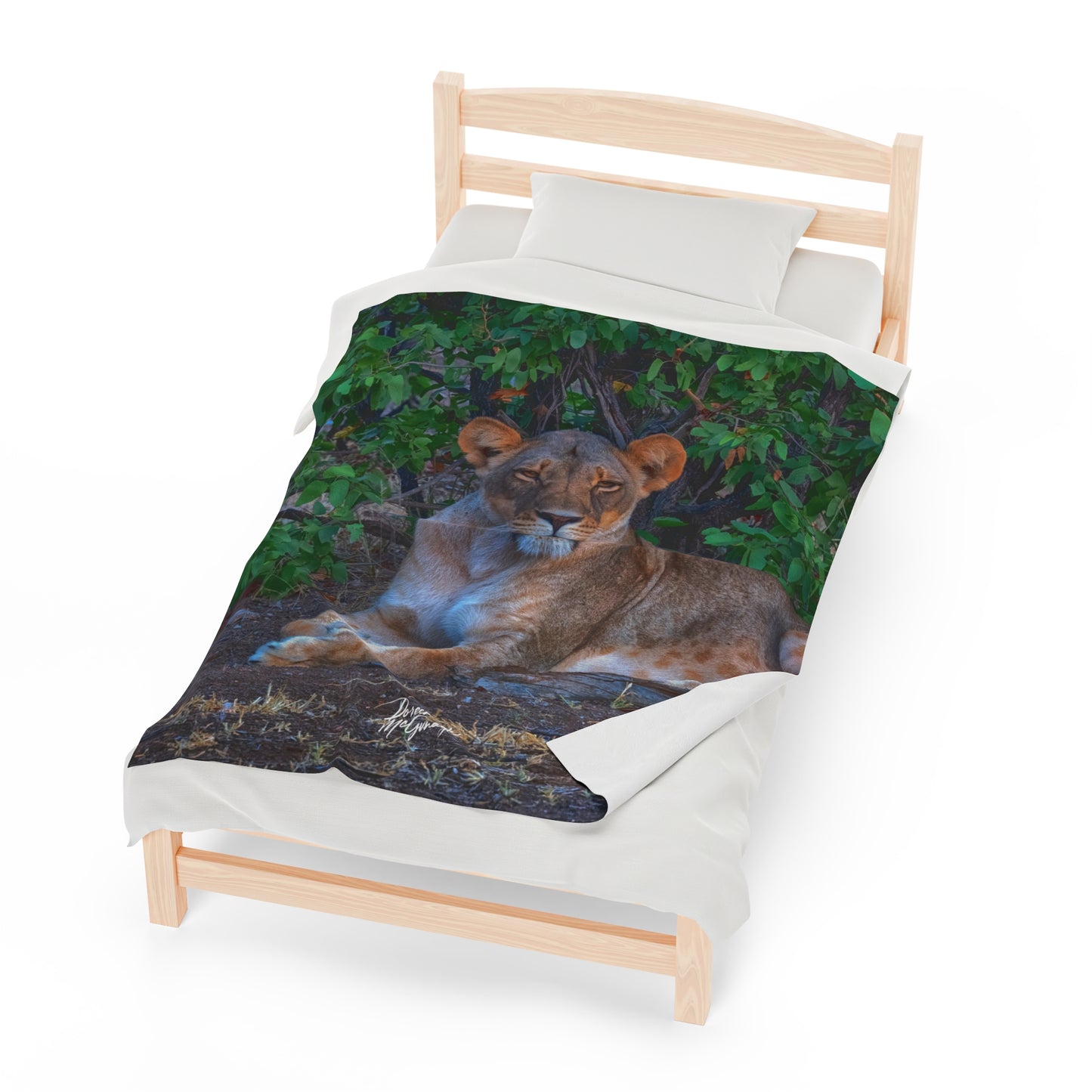 Velveteen Plush Blanket with Dreaming About a Lioness by Enjoy Nature