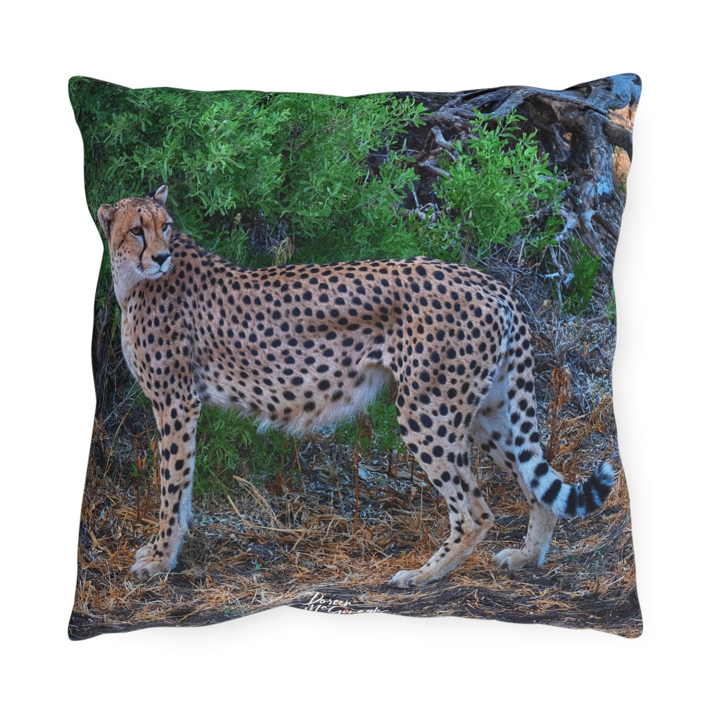 Enjoy Nature Outdoor Pillow with Cheetah Stand – Artistic, Comfy, and Durable Decorative Accent