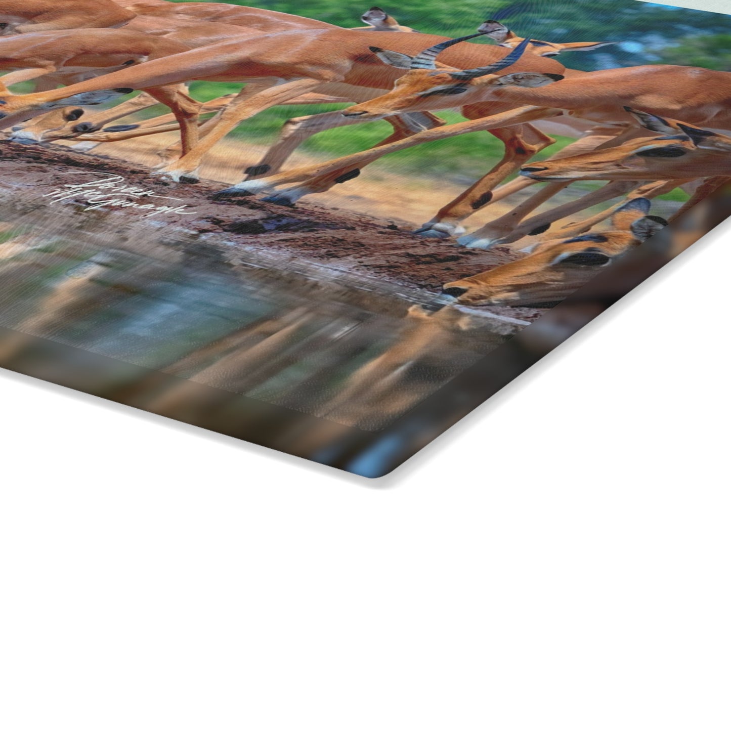 Enjoy Nature Glass Charcuterie Cutting Board with African Antelope at Watering Hole Design