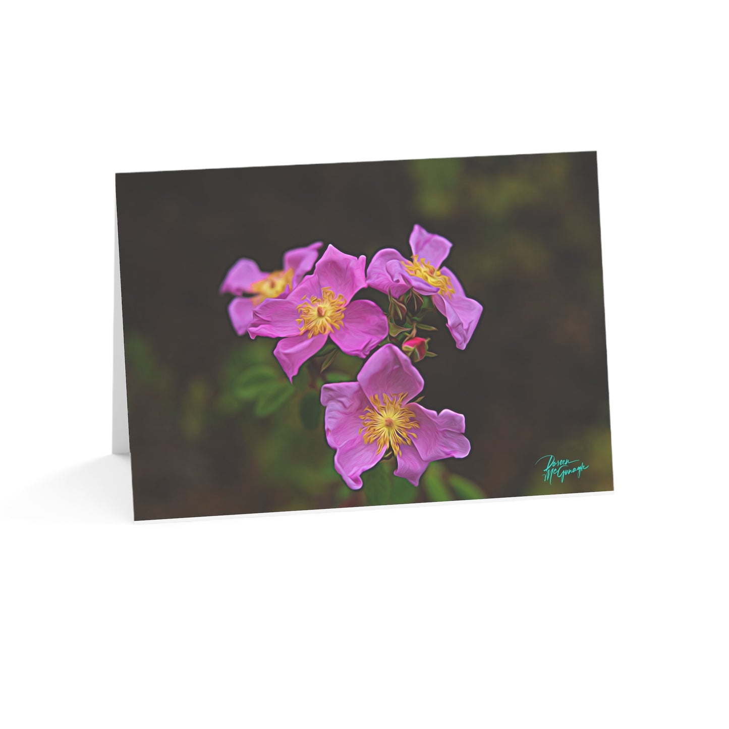 Photo note cards Enchanted Elegance, boxed note cards