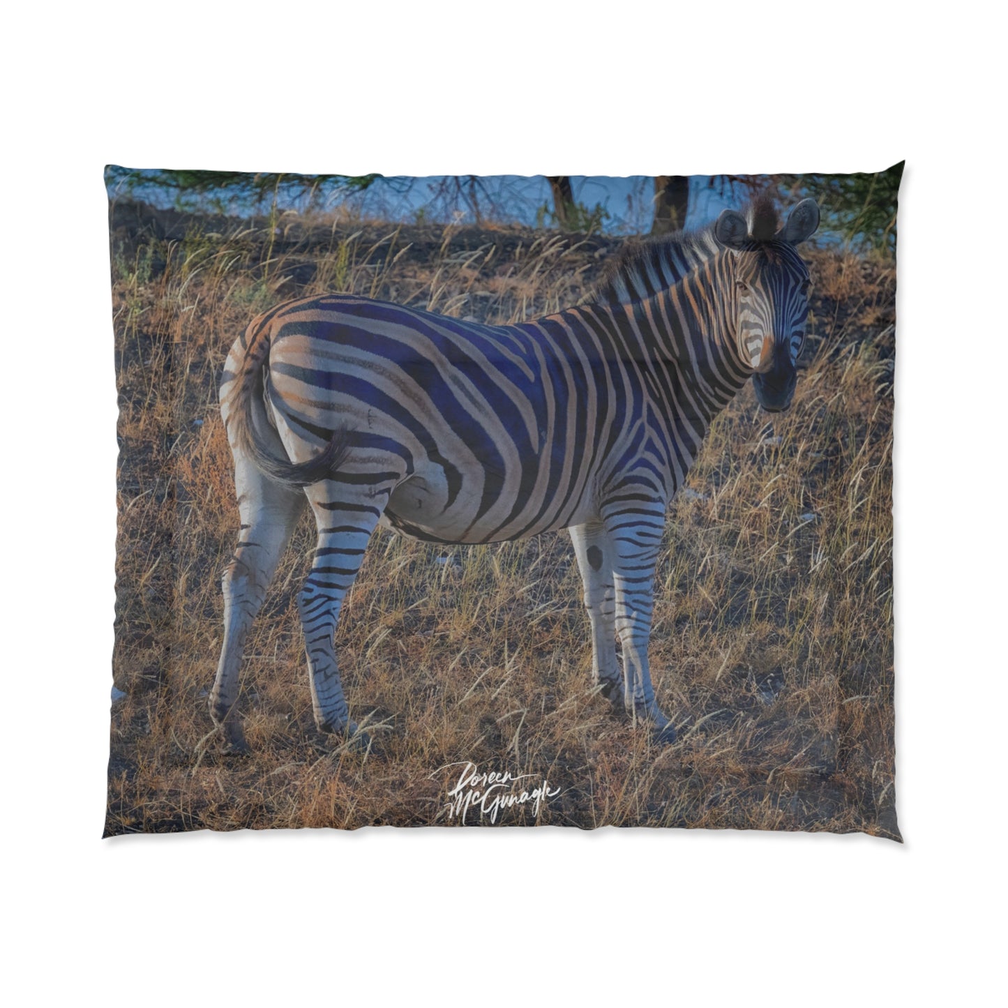 Baby Zebra Comforter by Enjoy Nature