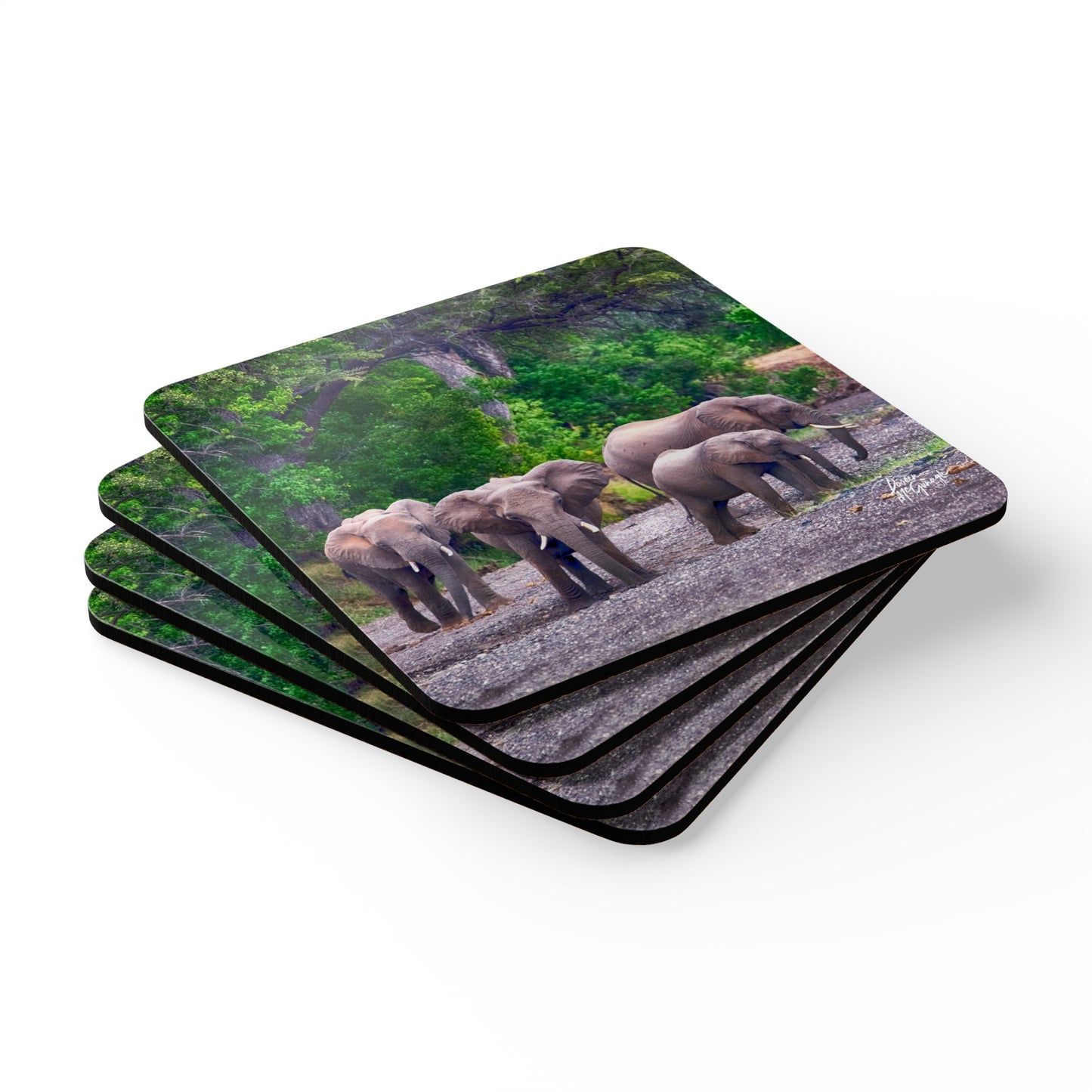 Elephant Family in Valley Corkwood Coaster Set (Box of 4)