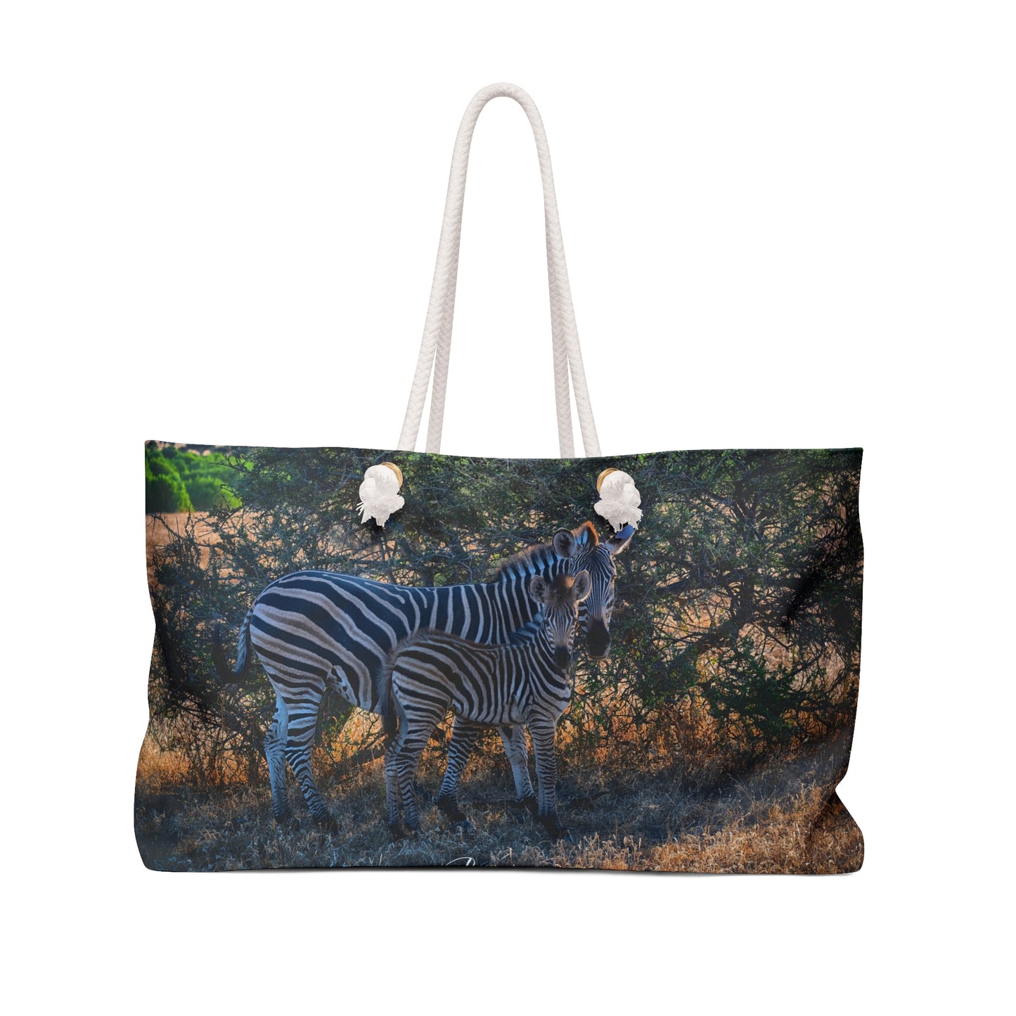 Weekender Tote Bag: Baby Zebra by Enjoy Nature