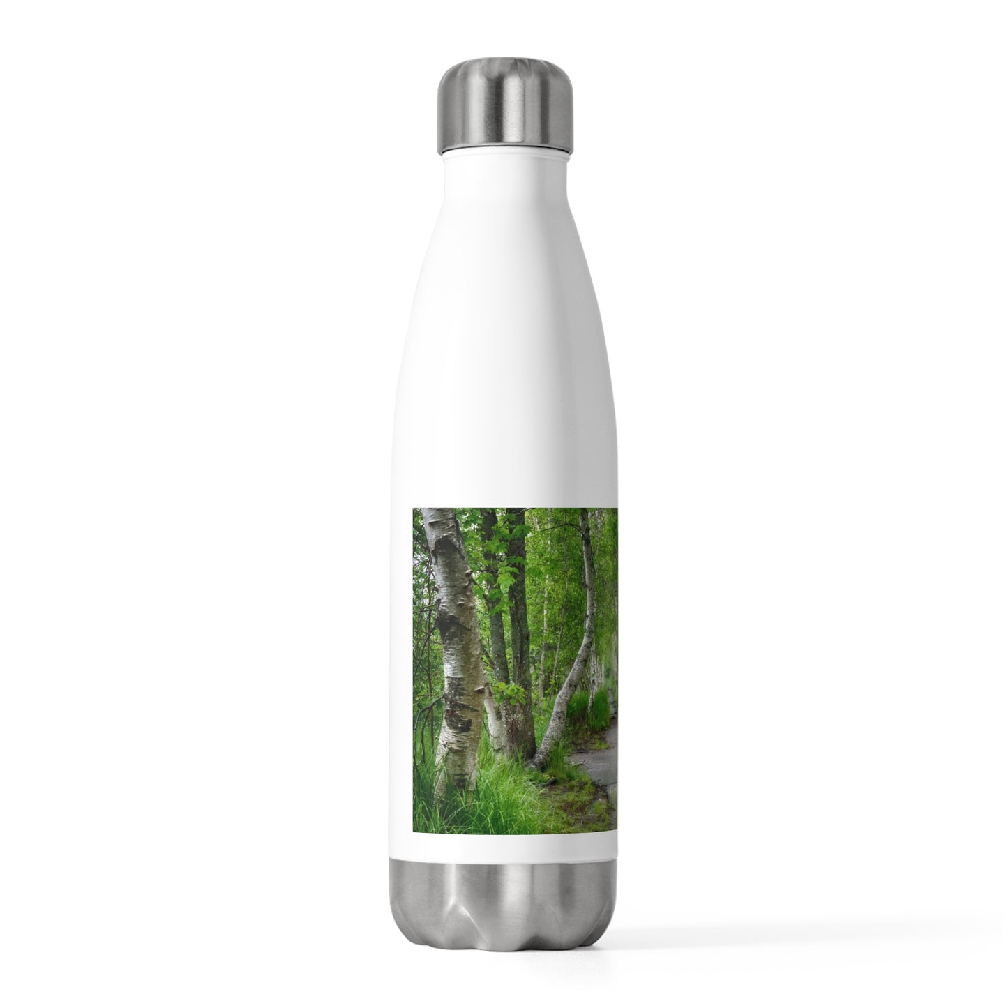 Eco friendly water bottle, Silver Birch Path, 20oz Insulated Bottle