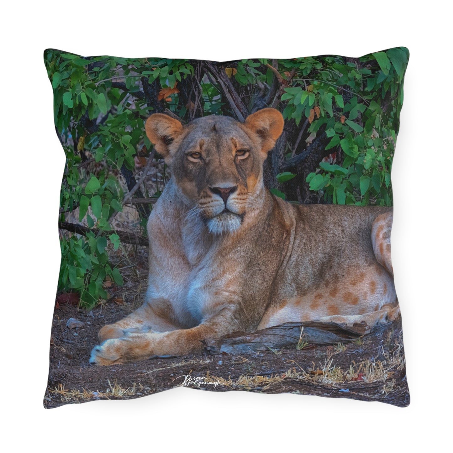 Enjoy Nature Outdoor Pillow with Dreaming About a Lioness – Artistic, Comfy, and Durable Decorative Accent