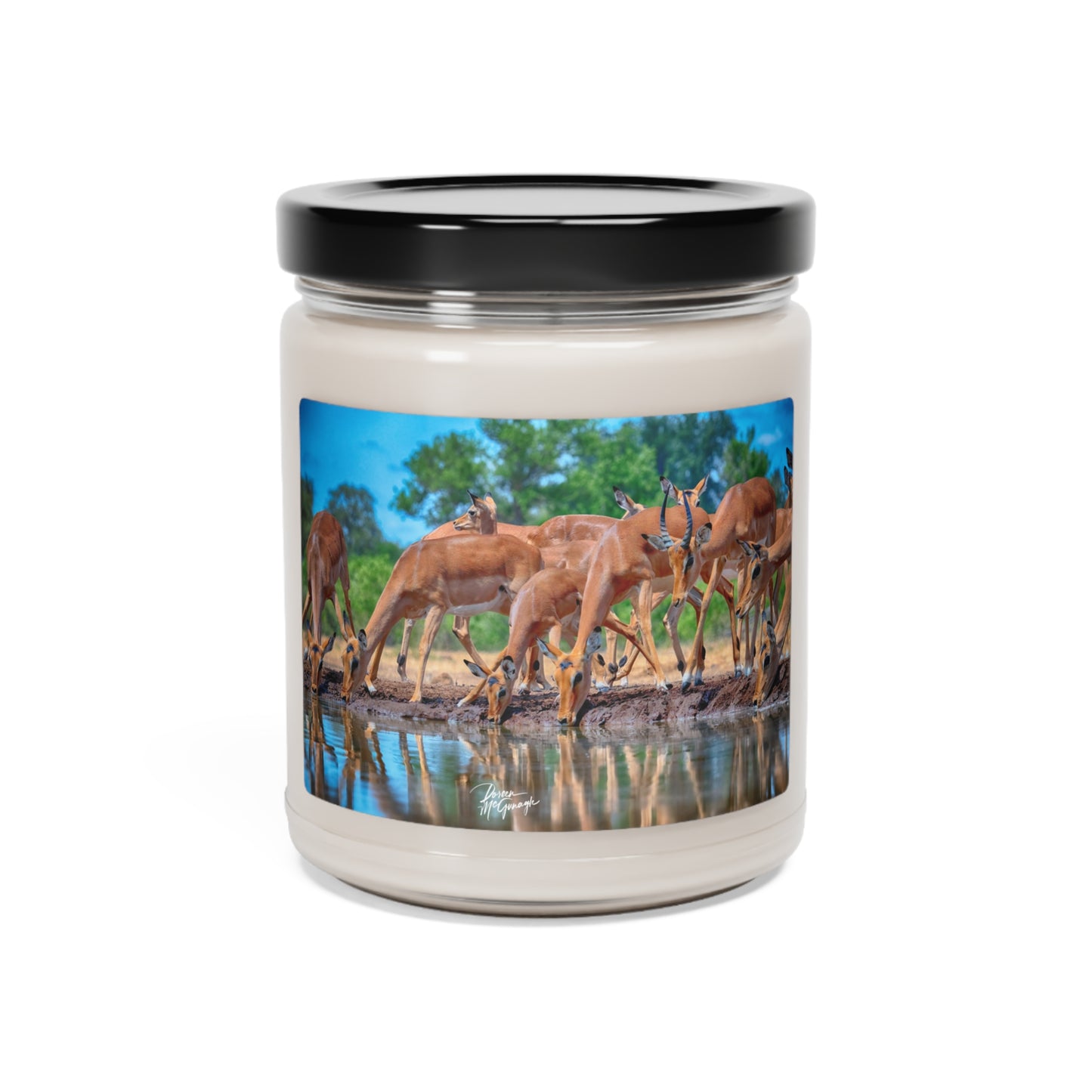 Experience the Pure Essence of Nature with the African Antelope at Watering Hole Scented Soy Candle by Enjoy Nature