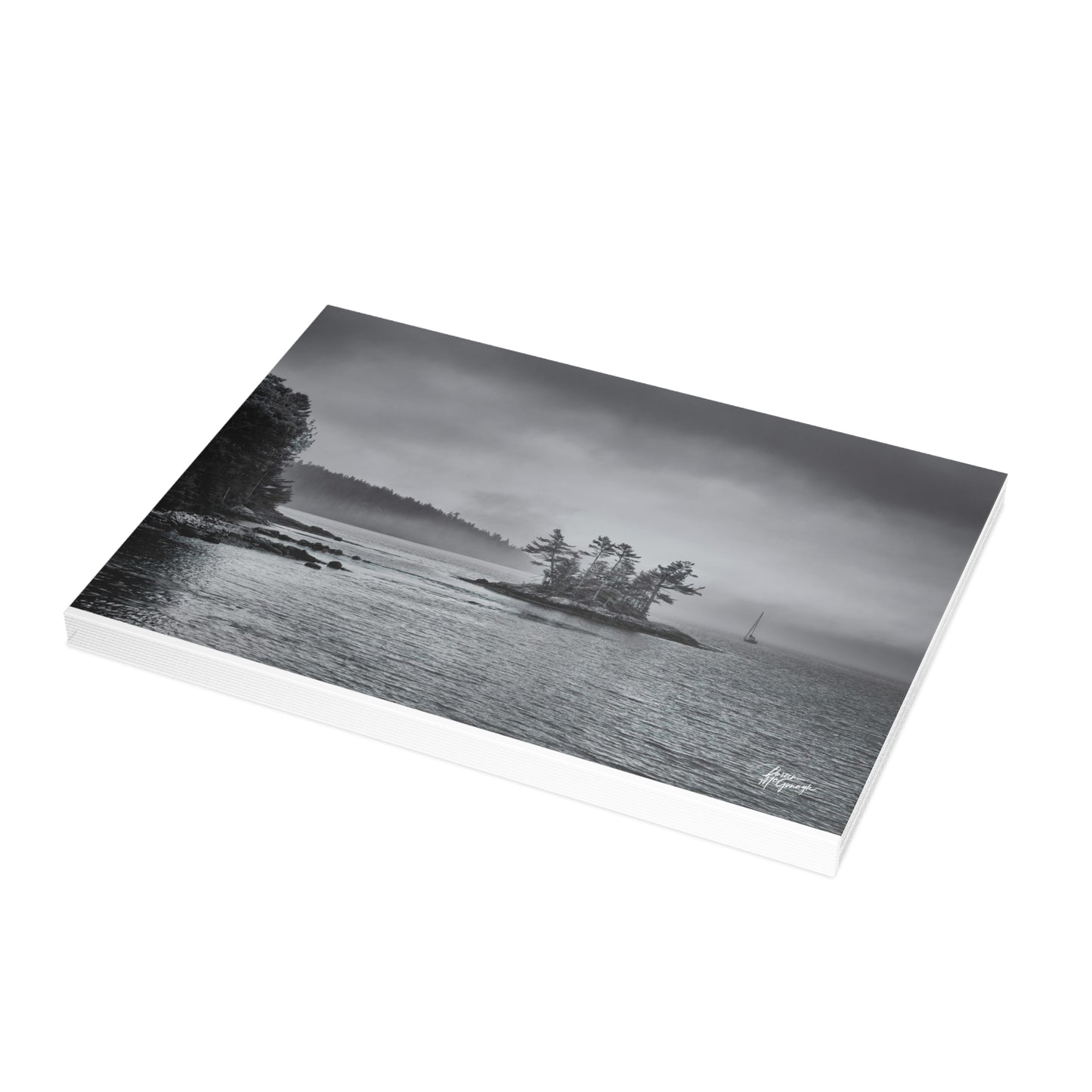 Landscape Note Cards, Note Card 5x7, Nature note cards, note card pack, photo note cards - Misty Morning on Maines Coast Black and White