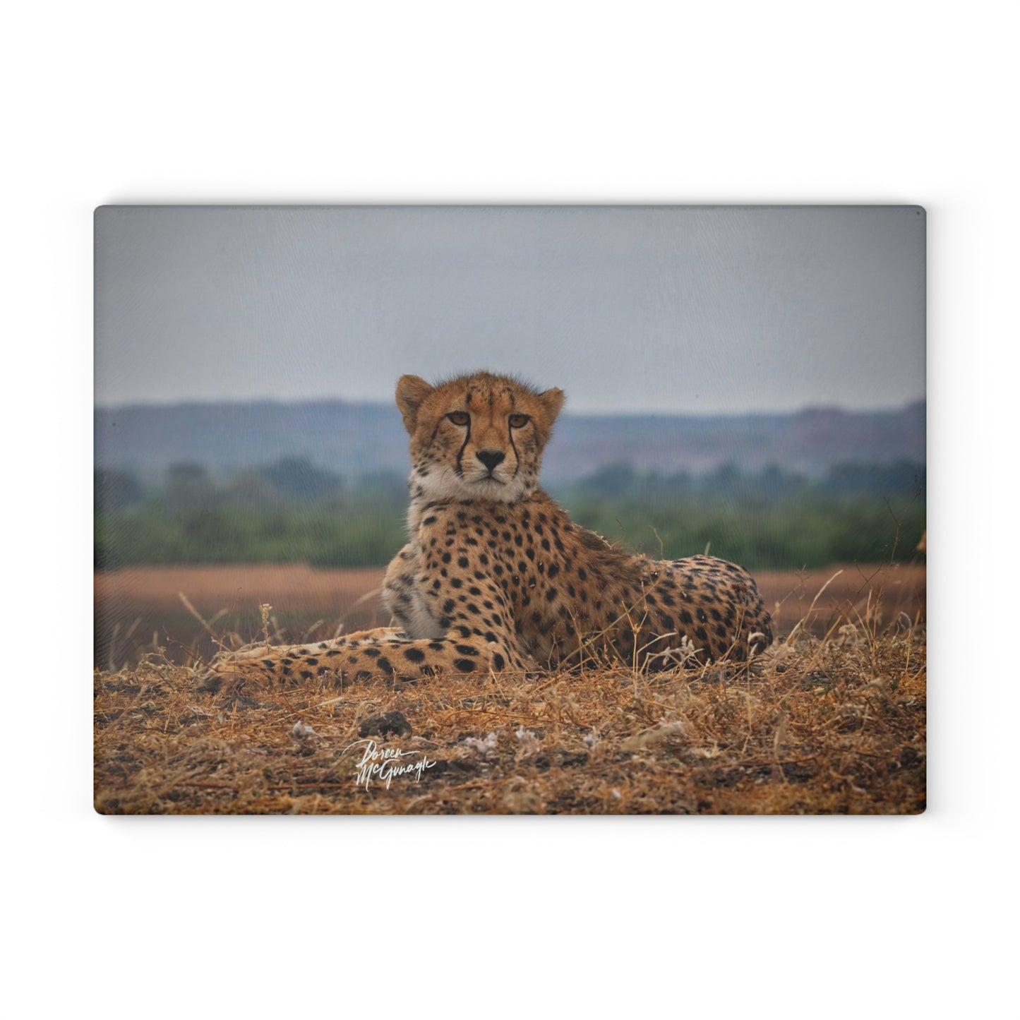 Enjoy Nature Glass Charcuterie Cutting Board with Cheetah Portrait