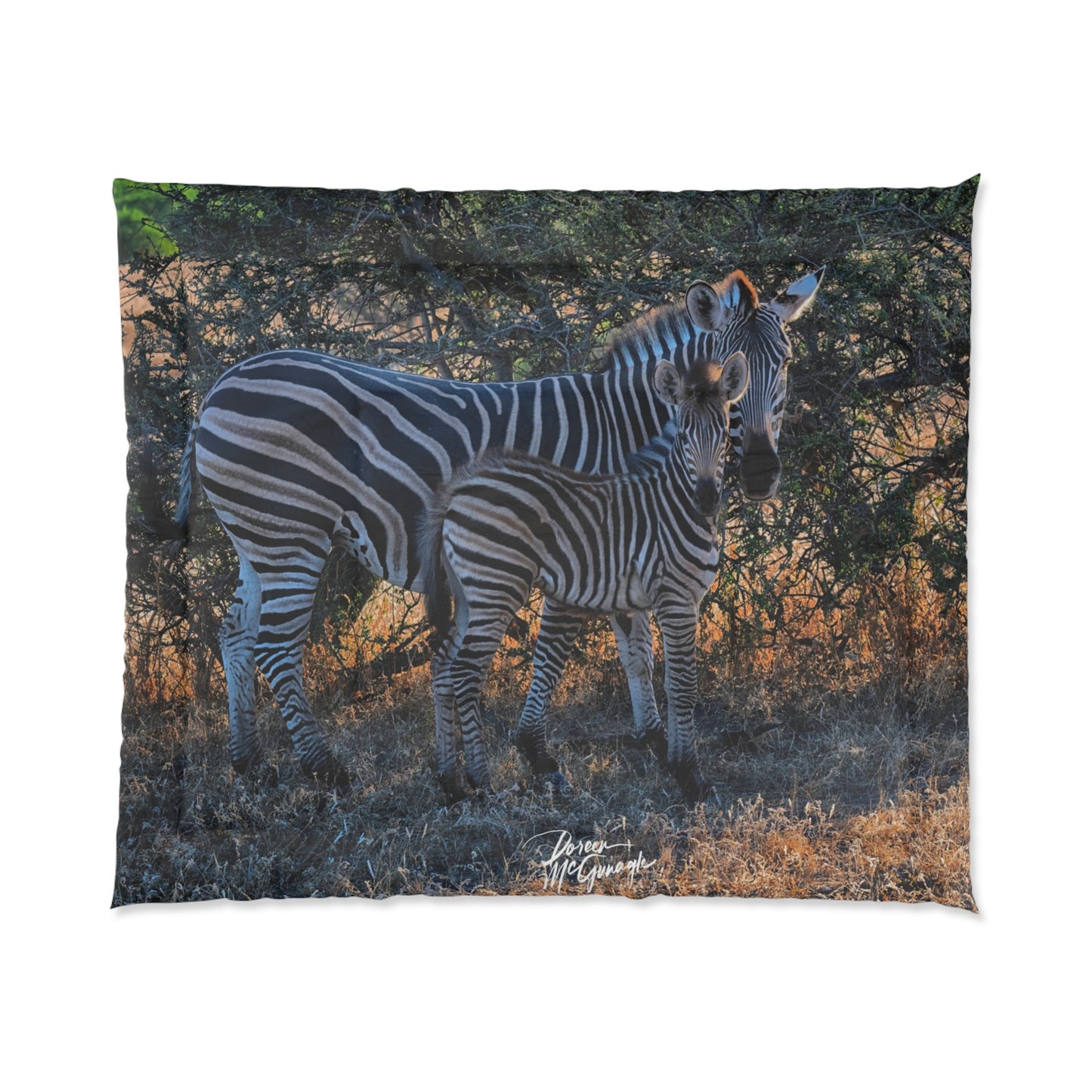 Zebra Stripes Comforter by Enjoy Nature