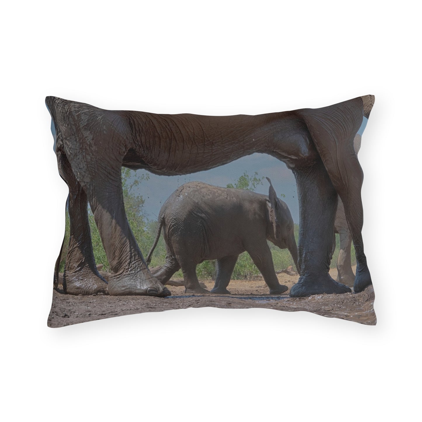 Enjoy Nature Outdoor Pillow with Baby Elephant Walk with Mom – Artistic, Comfy, and Durable Decorative Accent