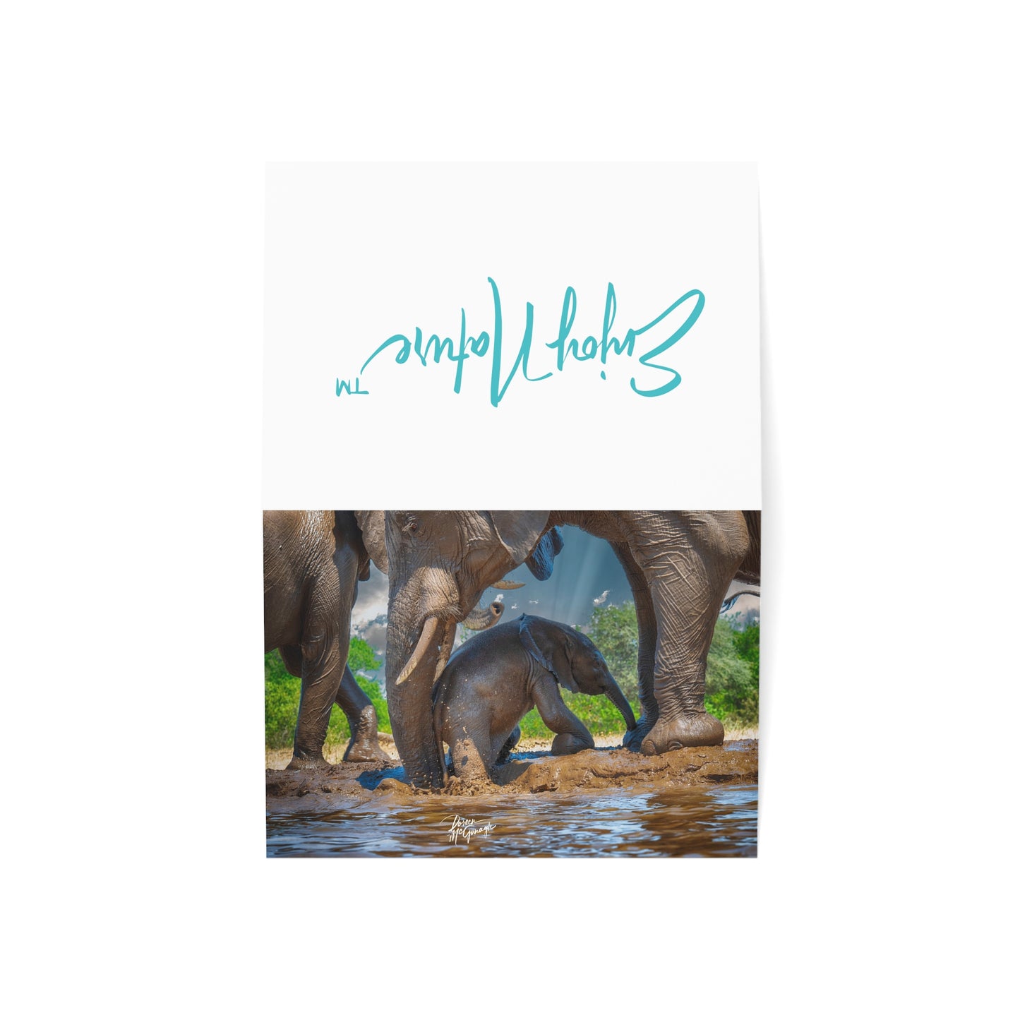 5x7 note cards of Baby Elephant (10 pcs)