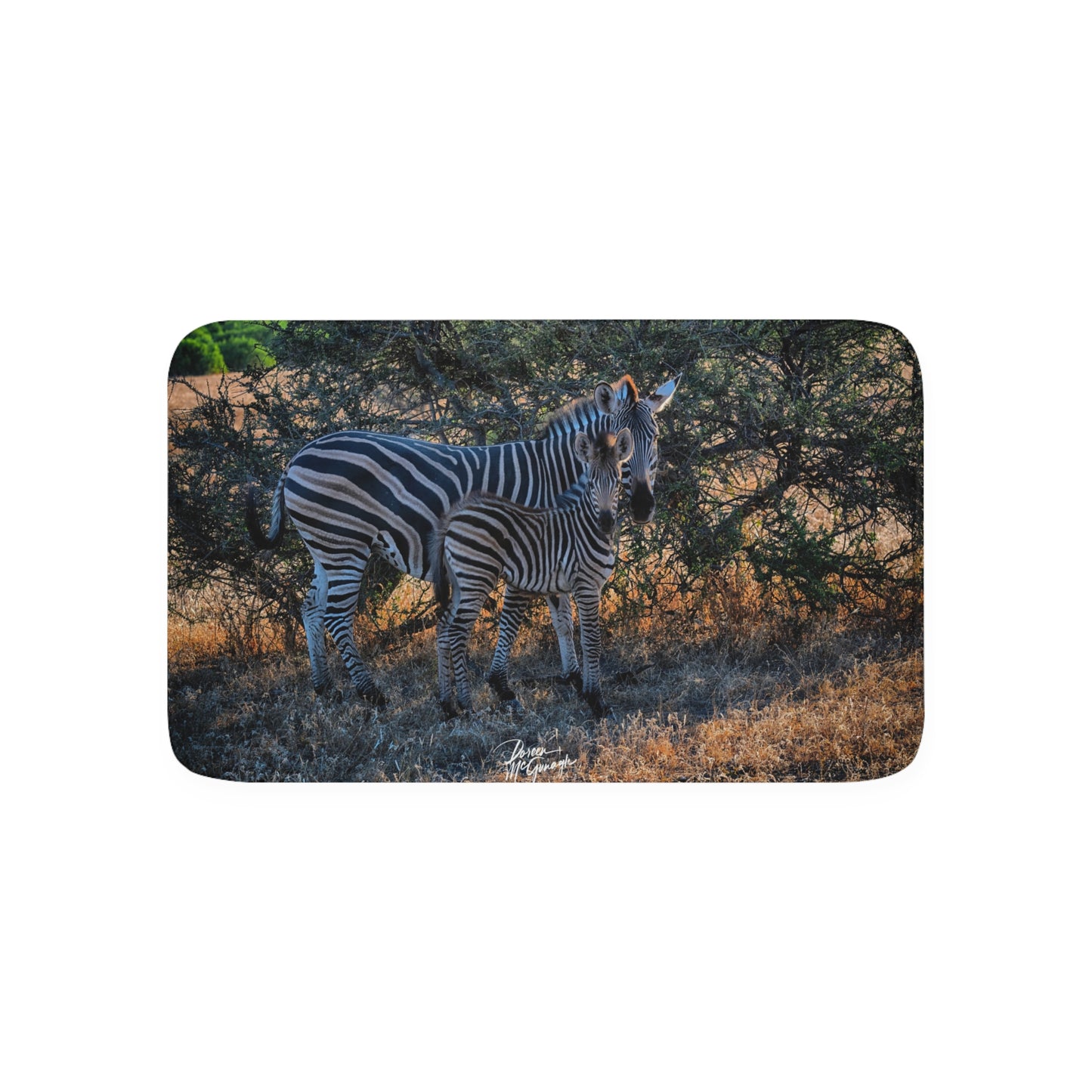 Zebra Stripes Memory Foam Bath Mat from Enjoy Nature