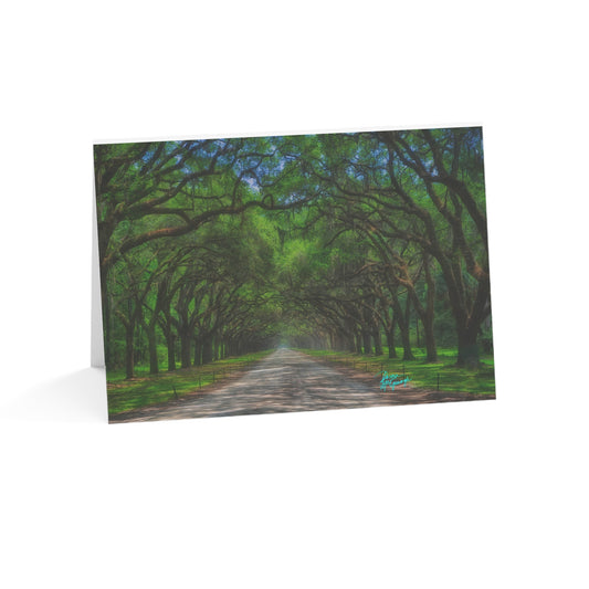 Photo note cards, Live Oak Avenue, box note cards, (10 pcs)