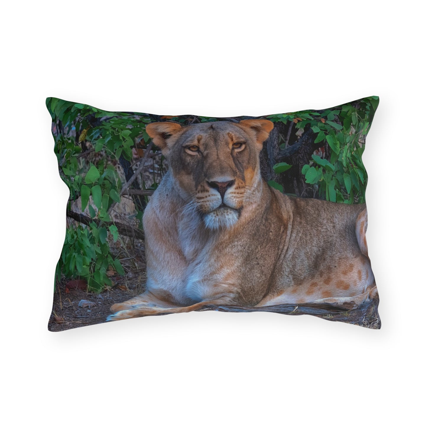 Enjoy Nature Outdoor Pillow with Dreaming About a Lioness – Artistic, Comfy, and Durable Decorative Accent