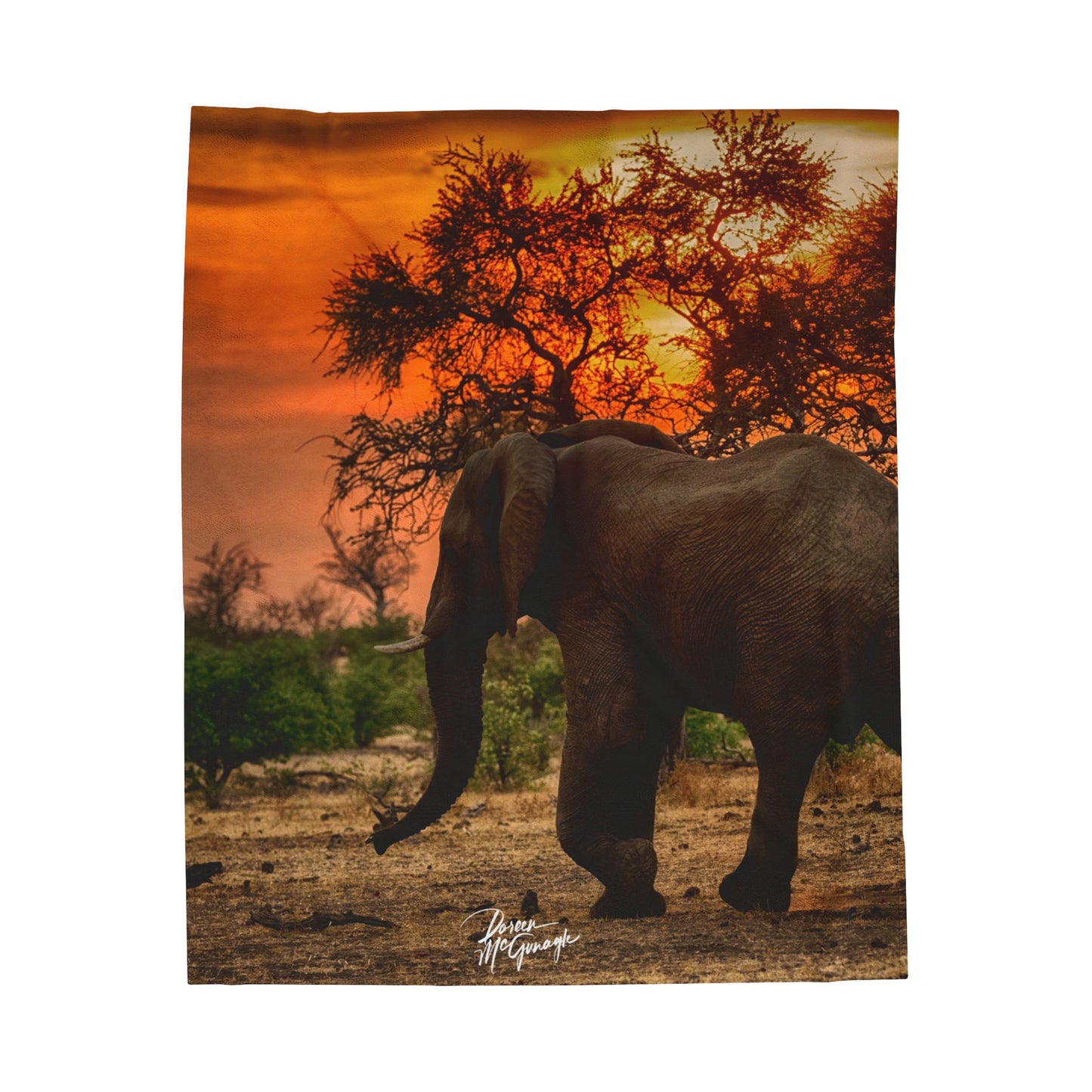 Velveteen Plush Blanket with Spirited Elephant Herd by Enjoy Nature