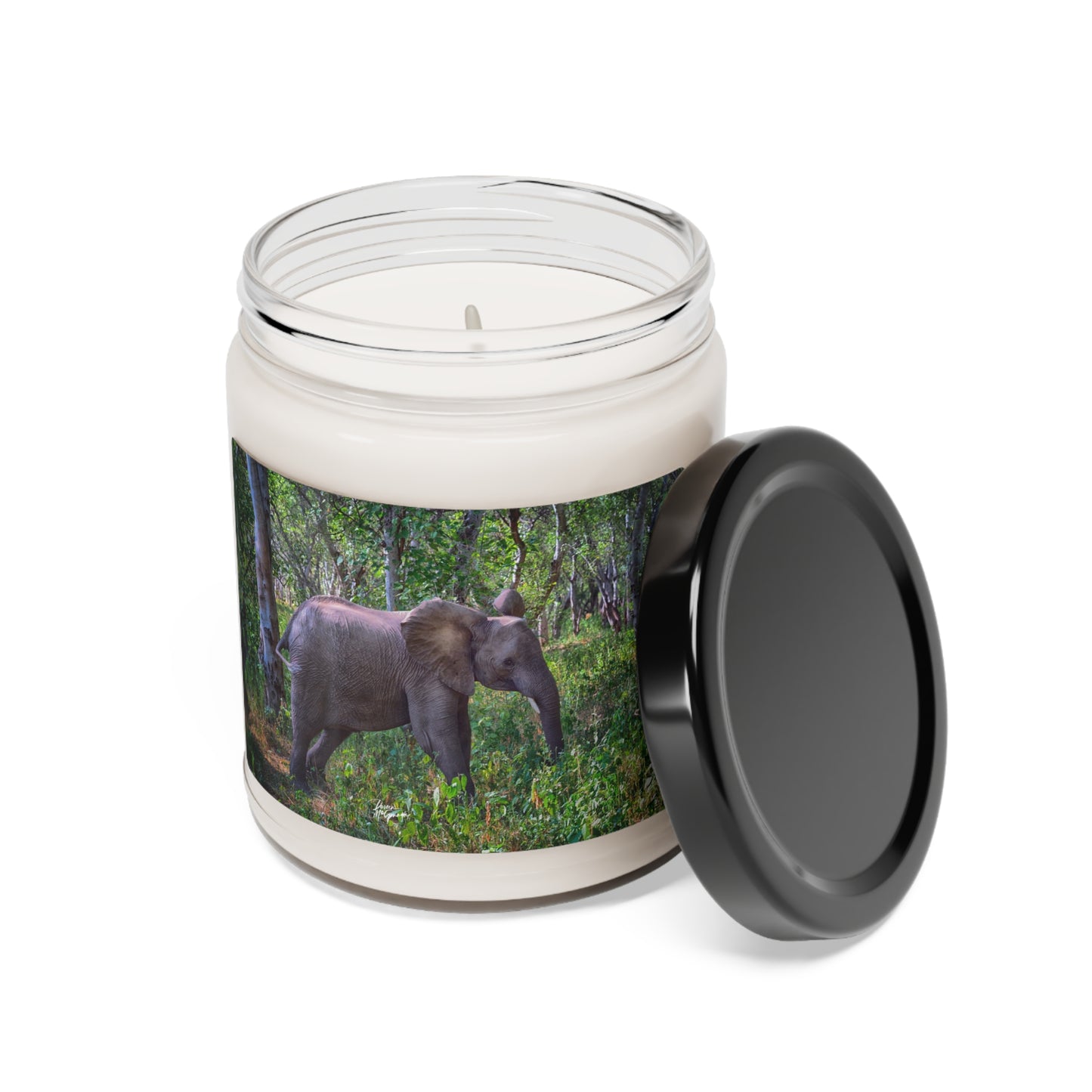 Experience the Pure Essence of Nature with the Elephant Baby in Forest Scented Soy Candle by Enjoy Nature