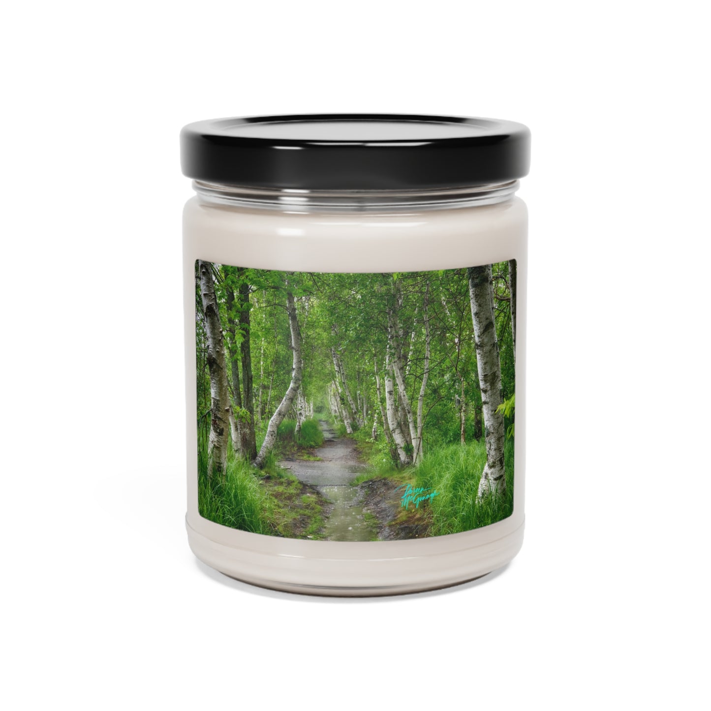 Natural Scented Soy Candles Silver Birch Forest, 9oz, nature inspired decor