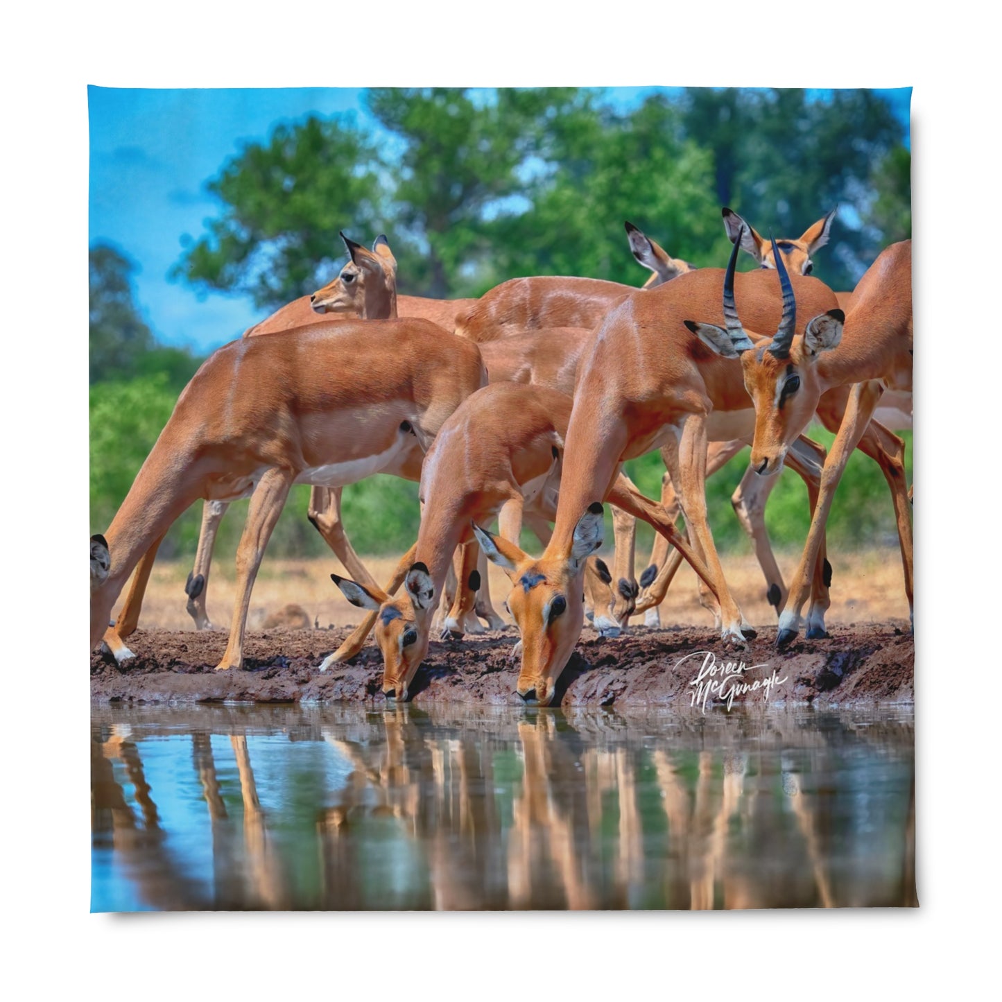 Enjoy Nature African Antelope at Watering Hole Duvet Cover